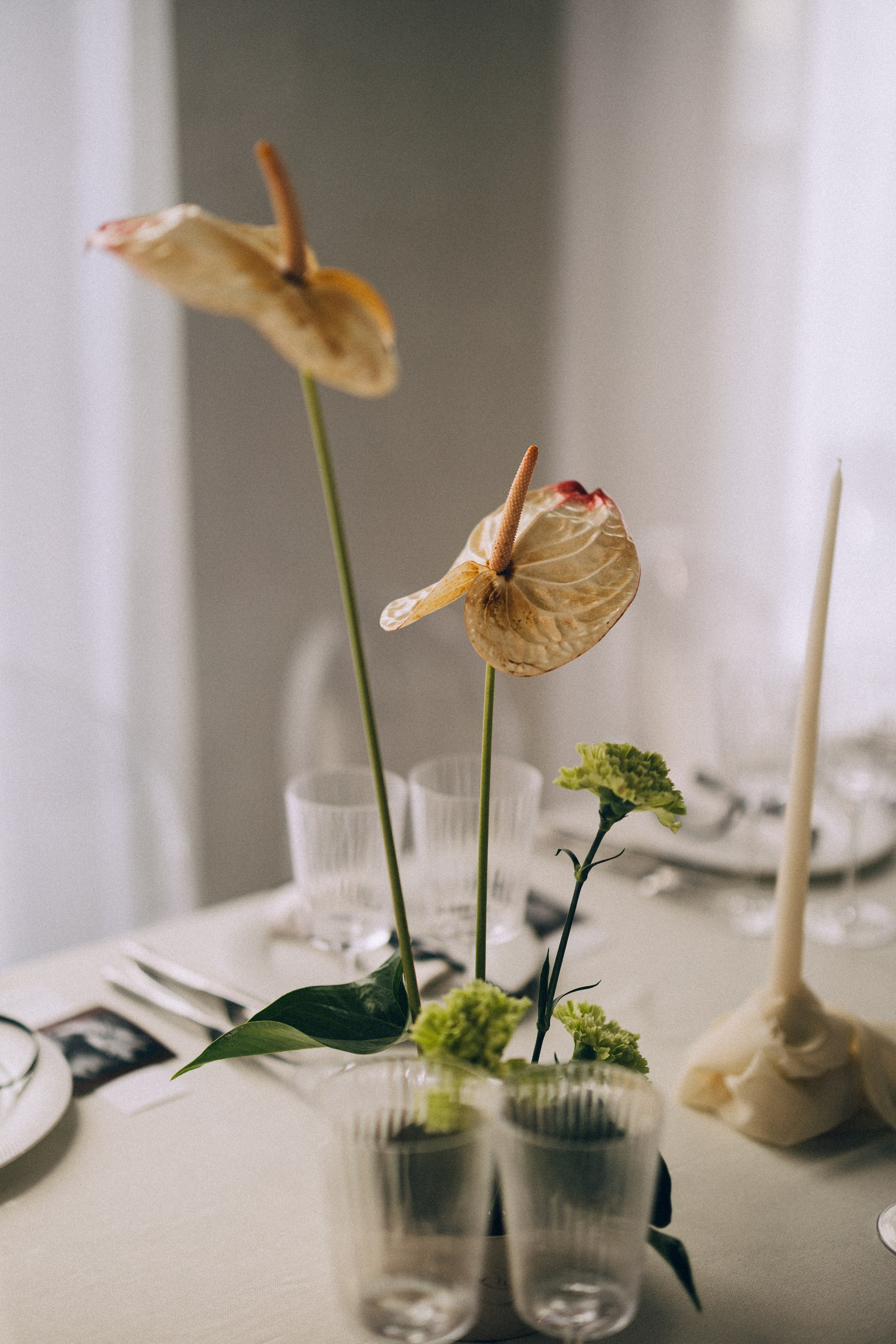 Вот это да, у меня теперь есть жена…. Daria Chigintseva Photographer