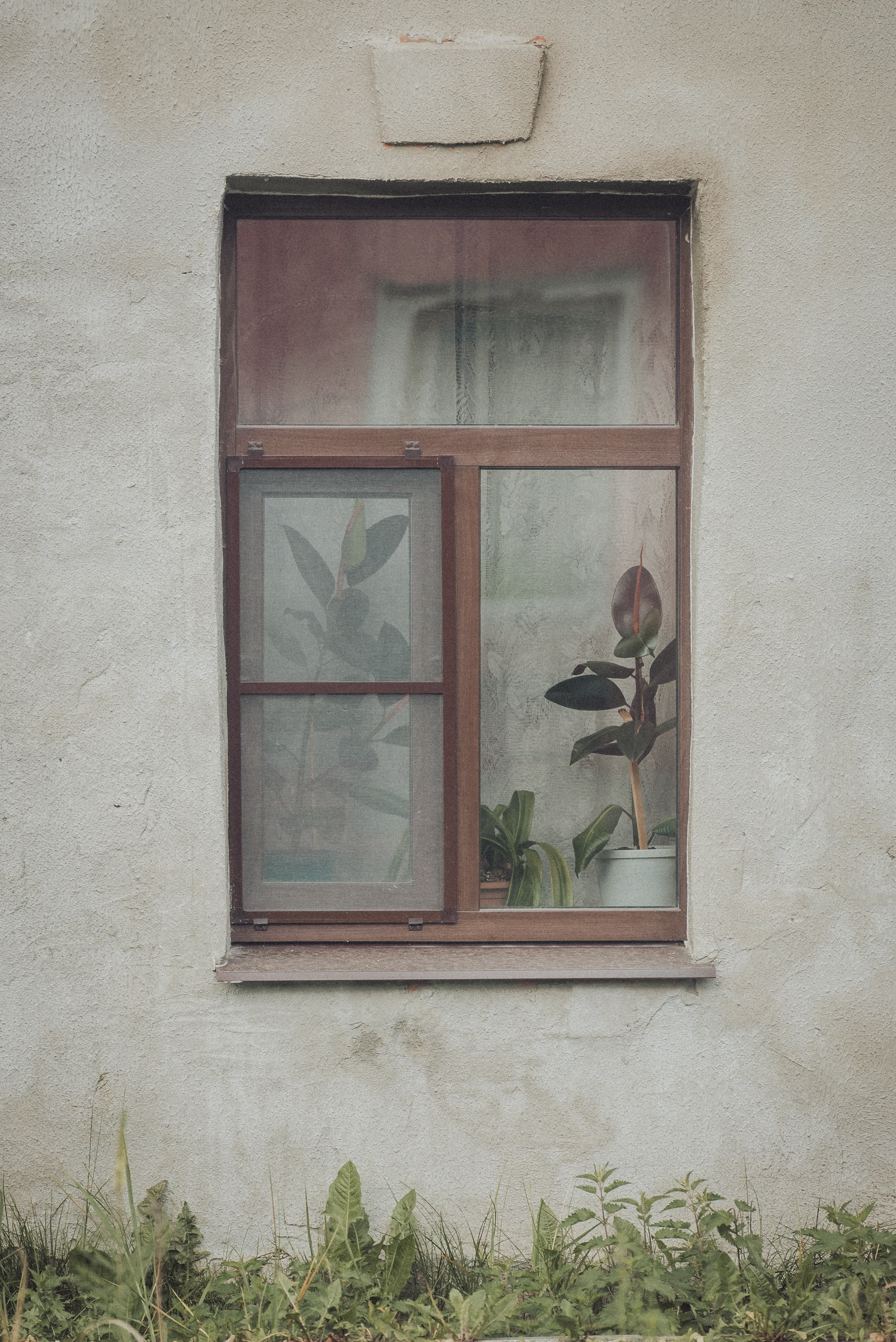 Проект #улицыгорода. Ярославль, Малый Московский пер. Документальный фотограф Илья Тихановский