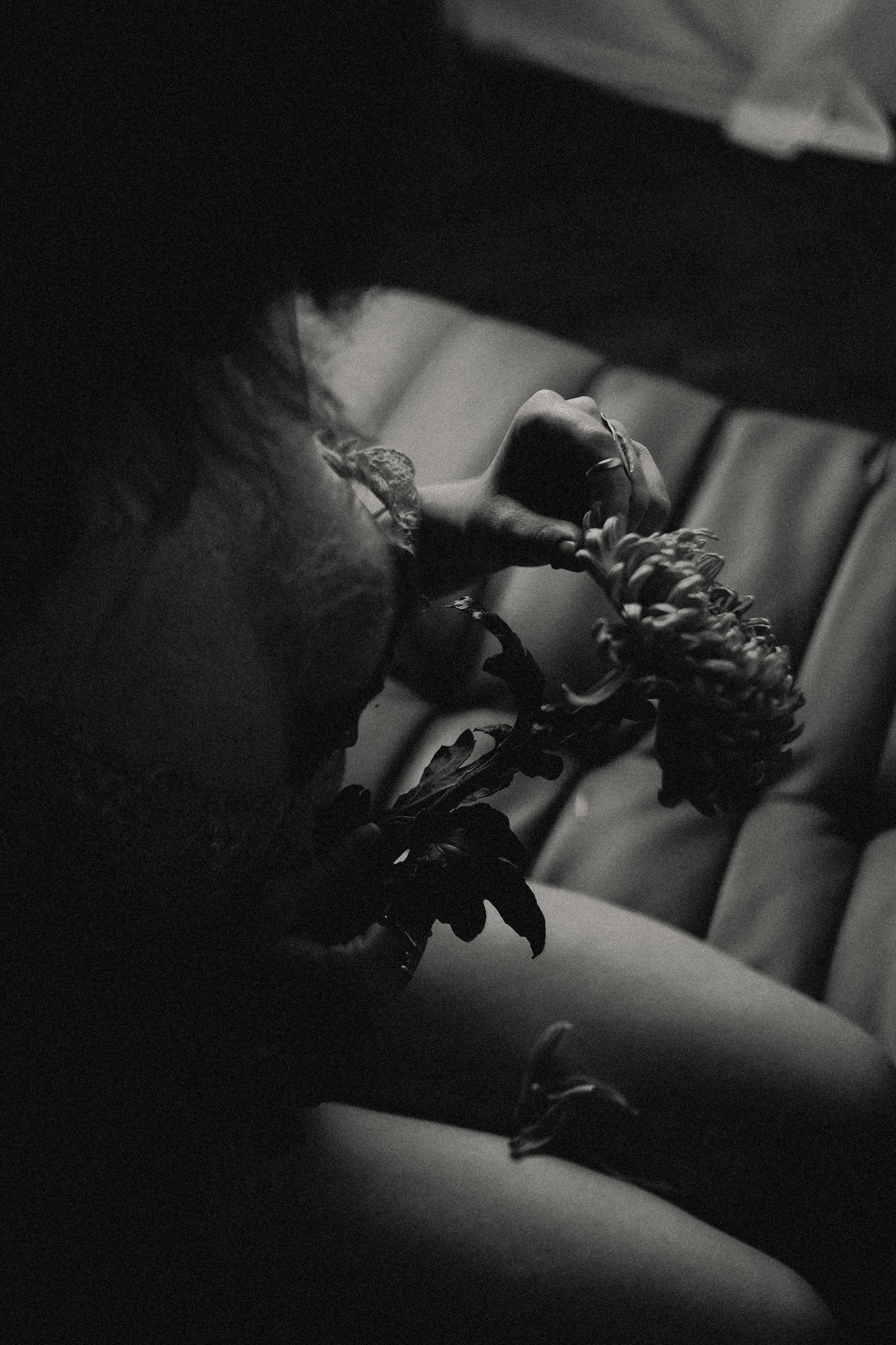 Настя. Фотограф Блинова Арина | Санк-Петербург