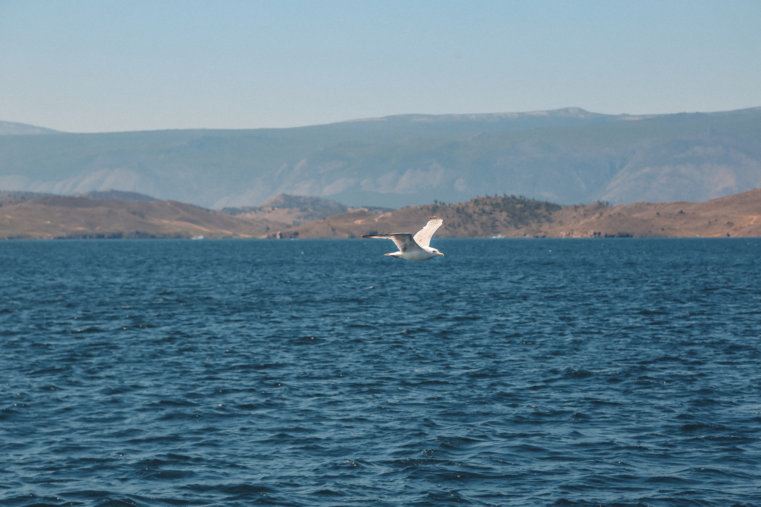 Байкал летний: легенды и святыни. Дарья Письменюк / Darya Leitstern — фотограф, музыкант, журналист, путешественник