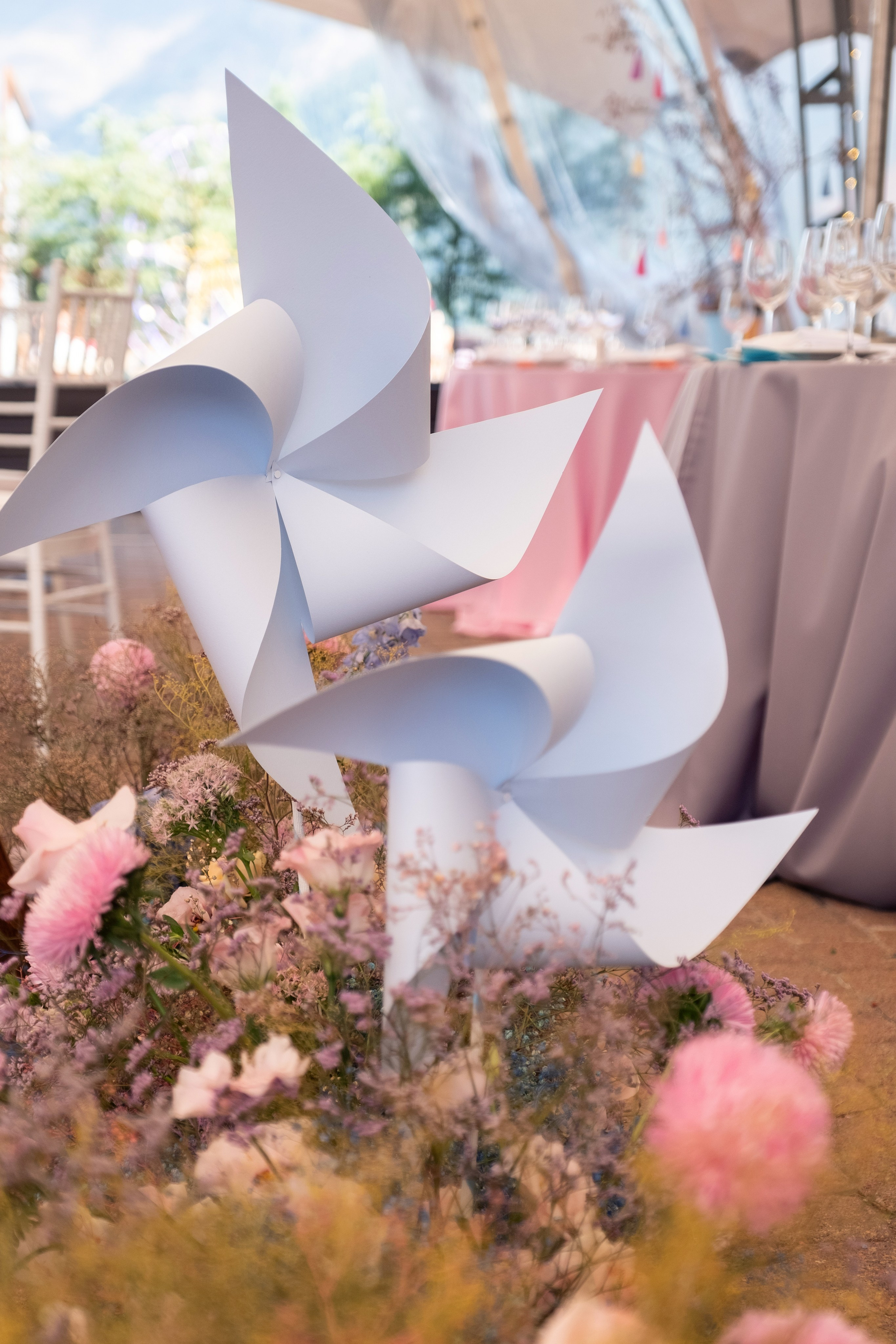 Фестиваль чувств. Свадебный Видеограф Фотограф в Сочи