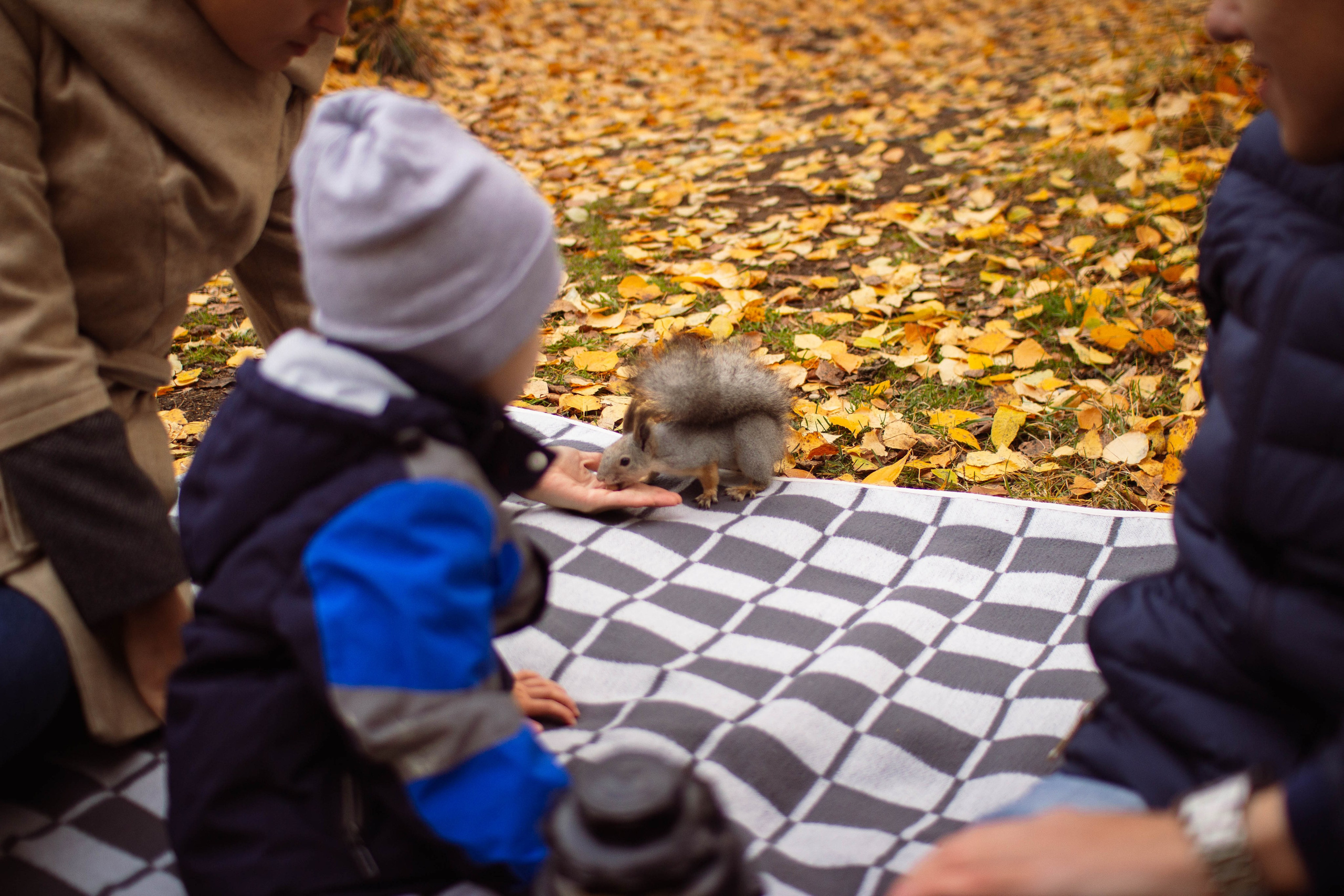 Сунагатуллины Family. Фотограф в Челябинске Филимонова Дарья