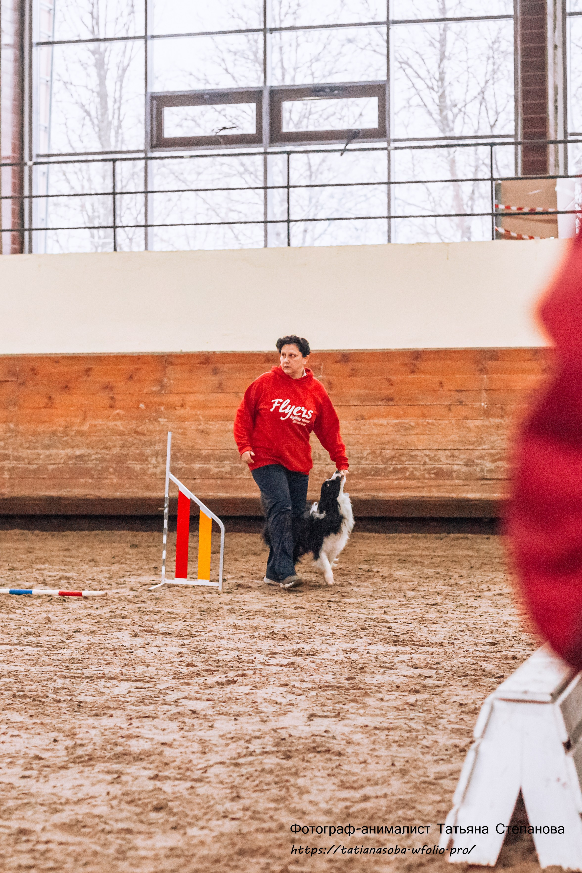Соревнования по Аджилити 25.02.2024. Фотограф-анималист Татьяна Степанова
