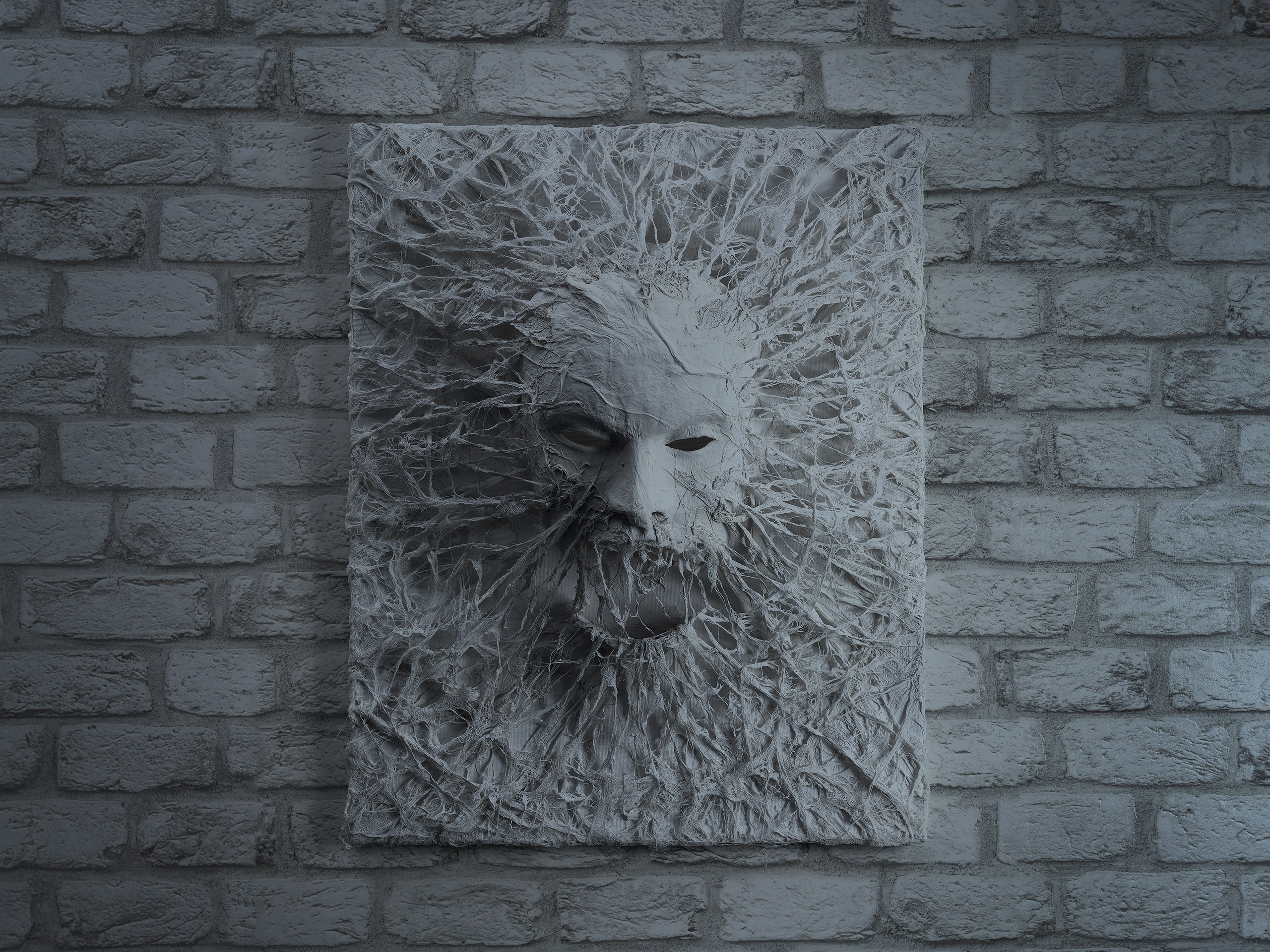 Картины. Фотограф анималист Никита Натальный