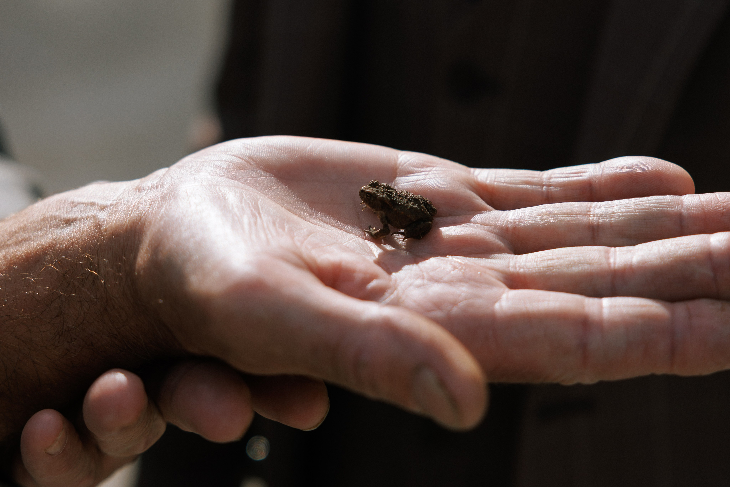Марина & Лёша. Свадебный и семейный фотограф в Твери, Москве, Санкт-Петербурге