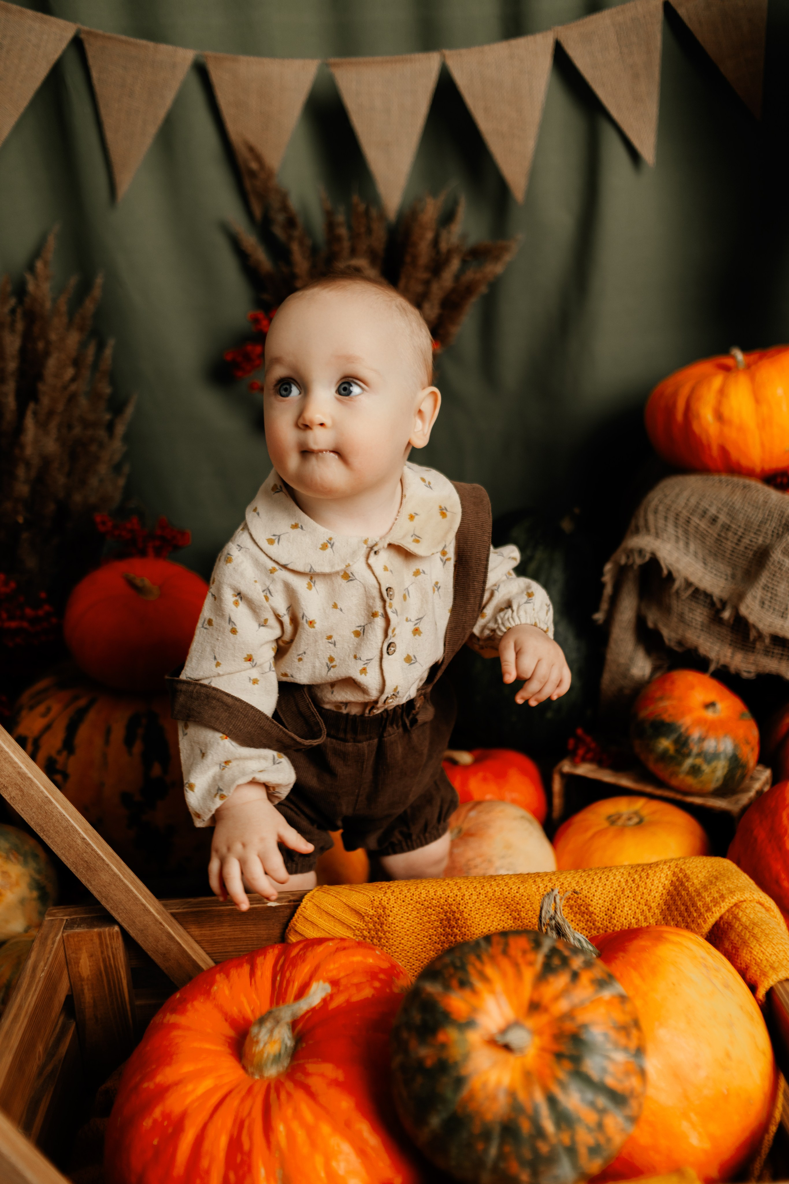 Фотопроекты. Фотограф новорождённых семейный фотограф Томск Елена Каплина