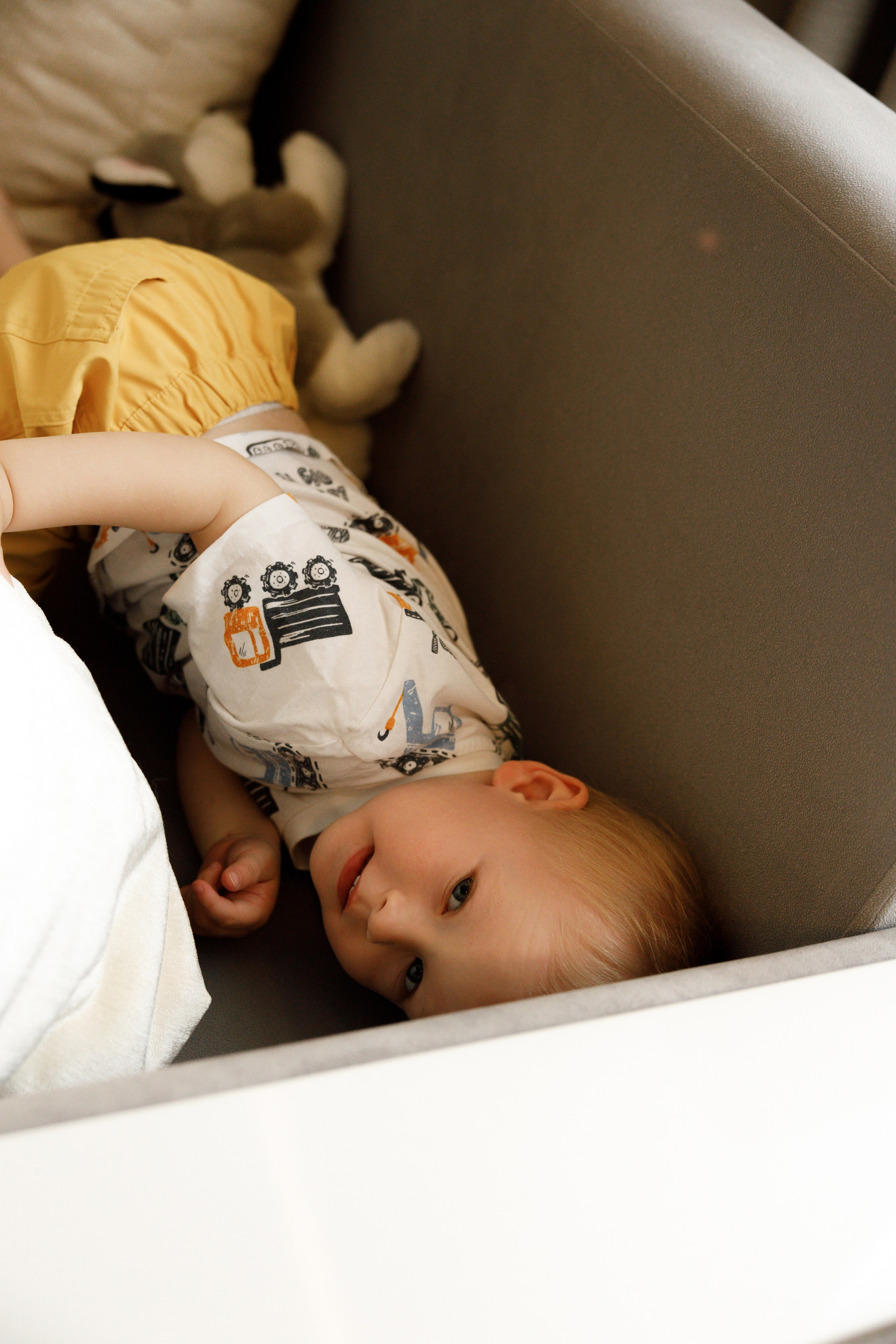 Лев 2 годика. Свадебный и семейный фотограф  во Владивостоке Ольга Украинец