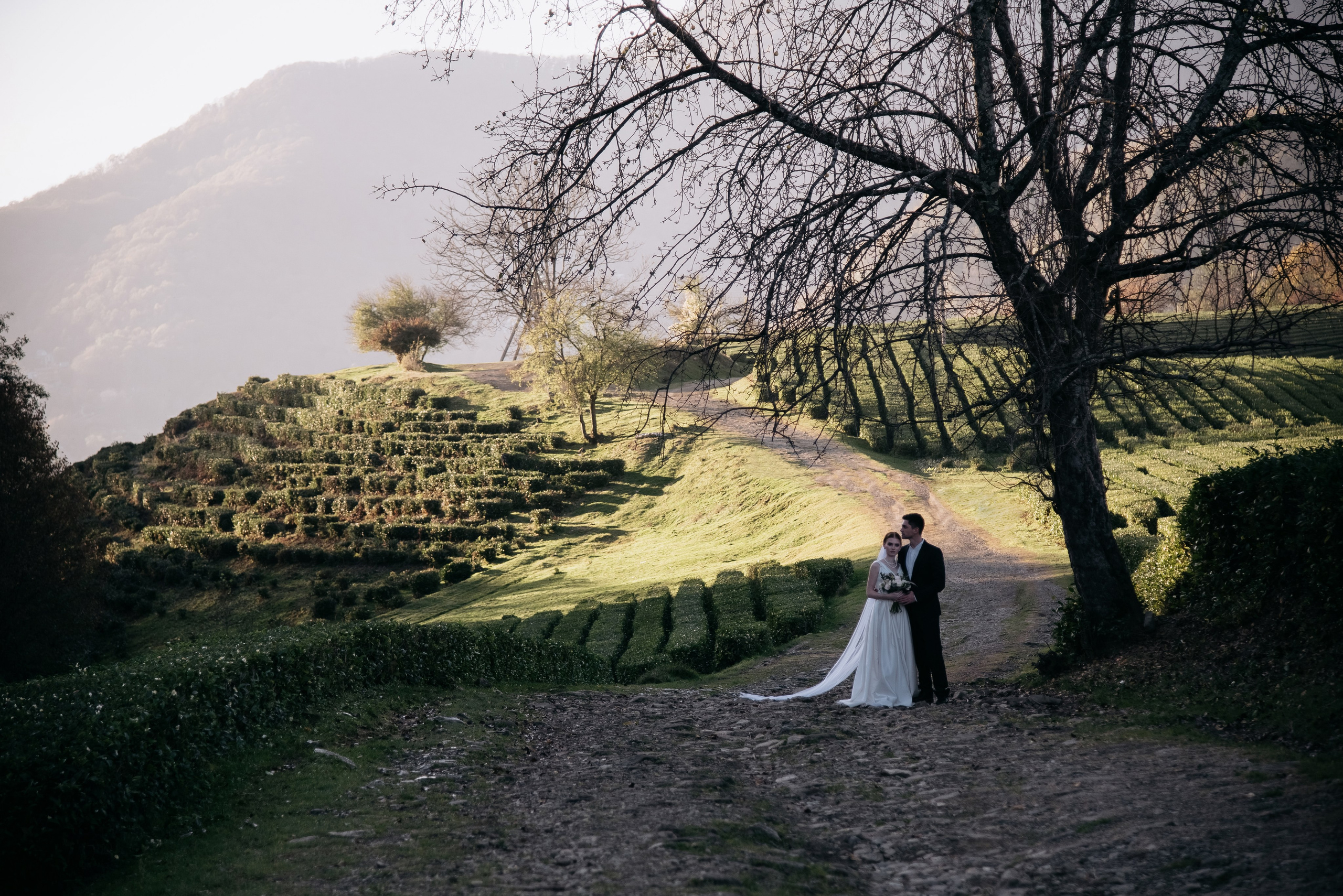 Чайные плантации Сочи. Свадебный и семейный фотограф Темрюк Алёна Ковальская