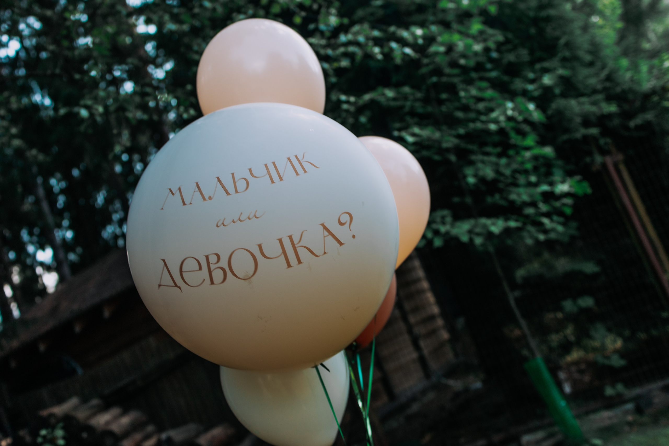 Гендерпати. Фотограф новорождённых в Москве и МО