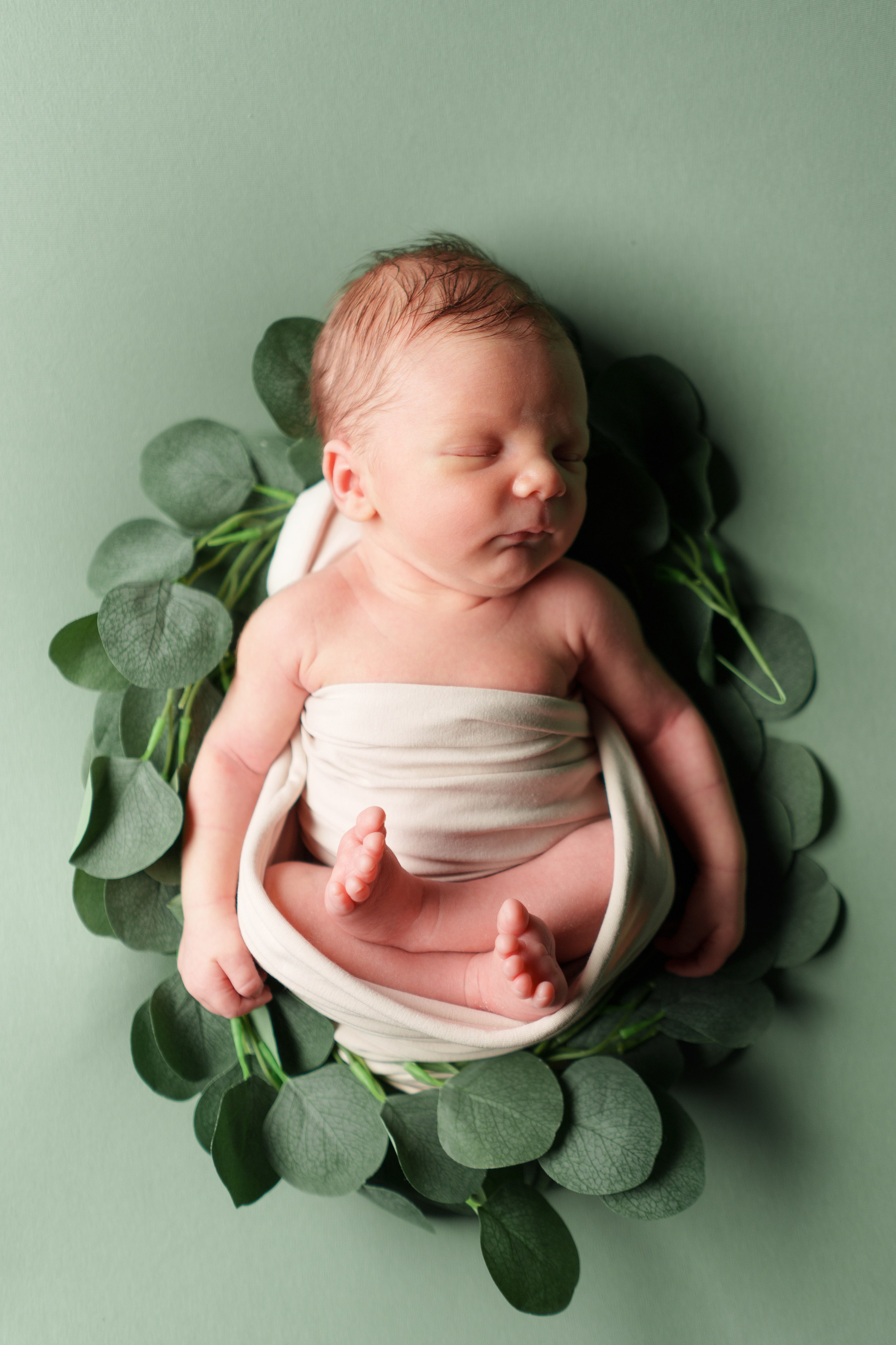 ✨. Профессиональный фотограф новорожденных Тверь