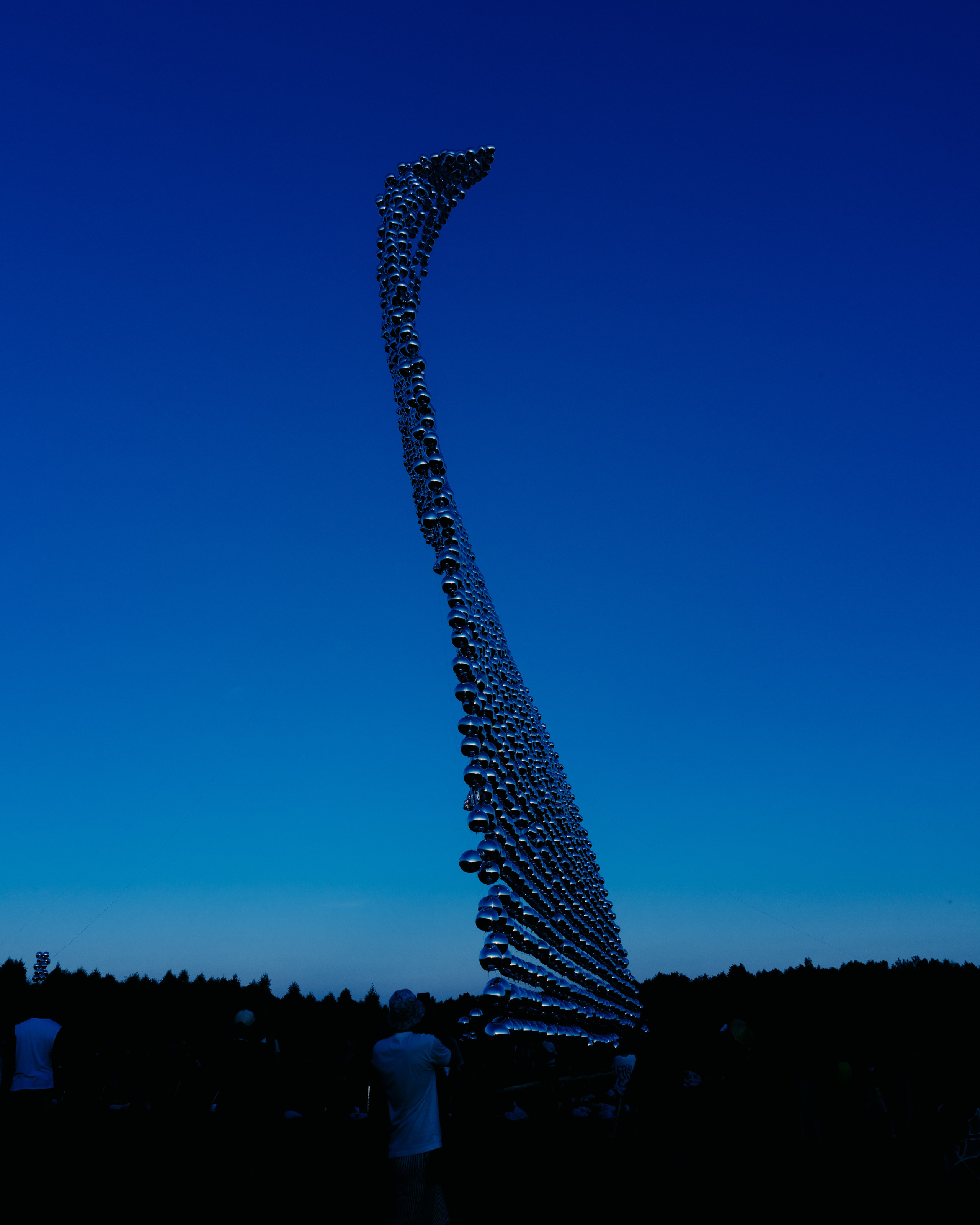 Signal 2024. @tomrus: Рустам Шагиморданов — фотограф