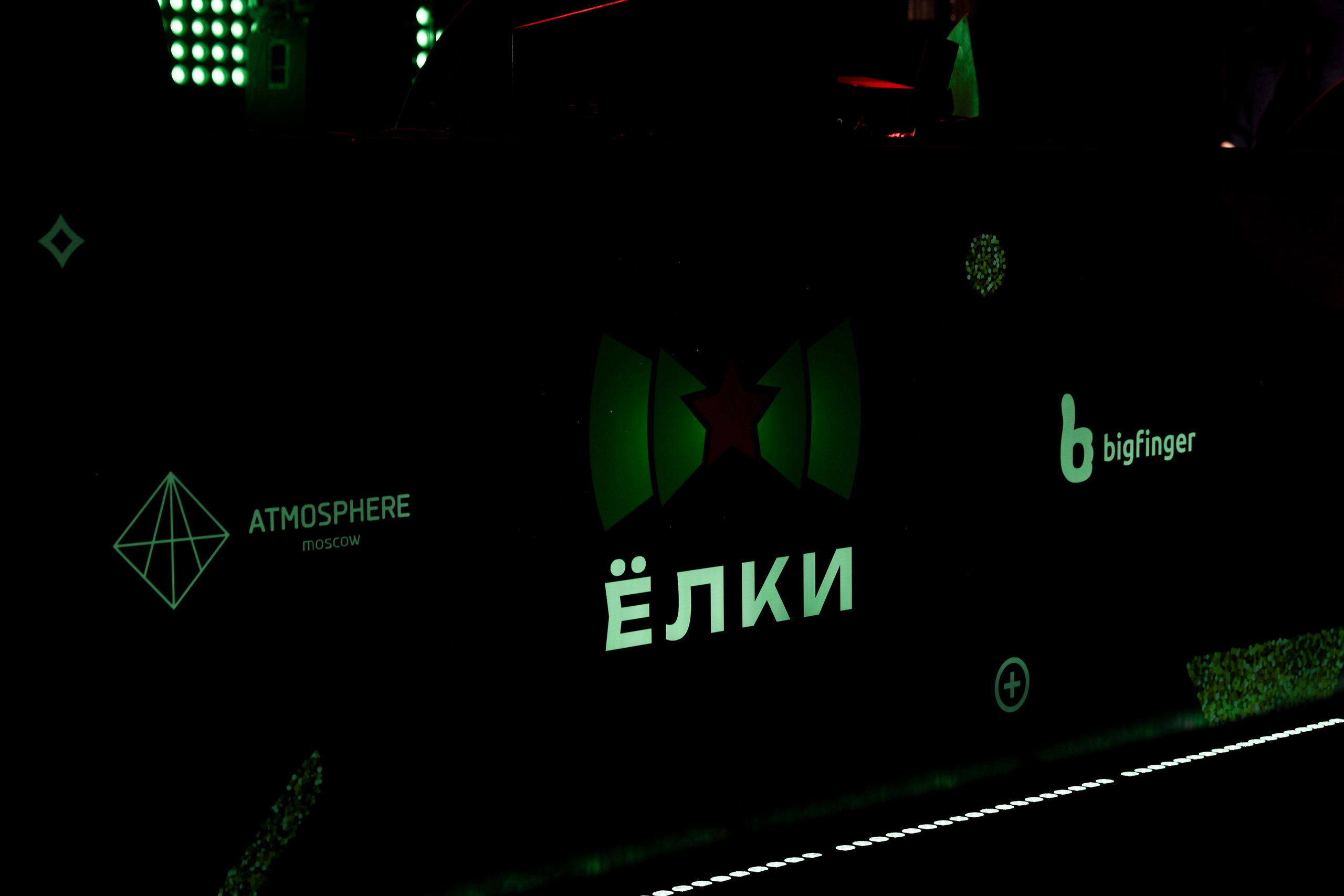 Ёлки. Свадебный фотограф Москва Анна Шилова