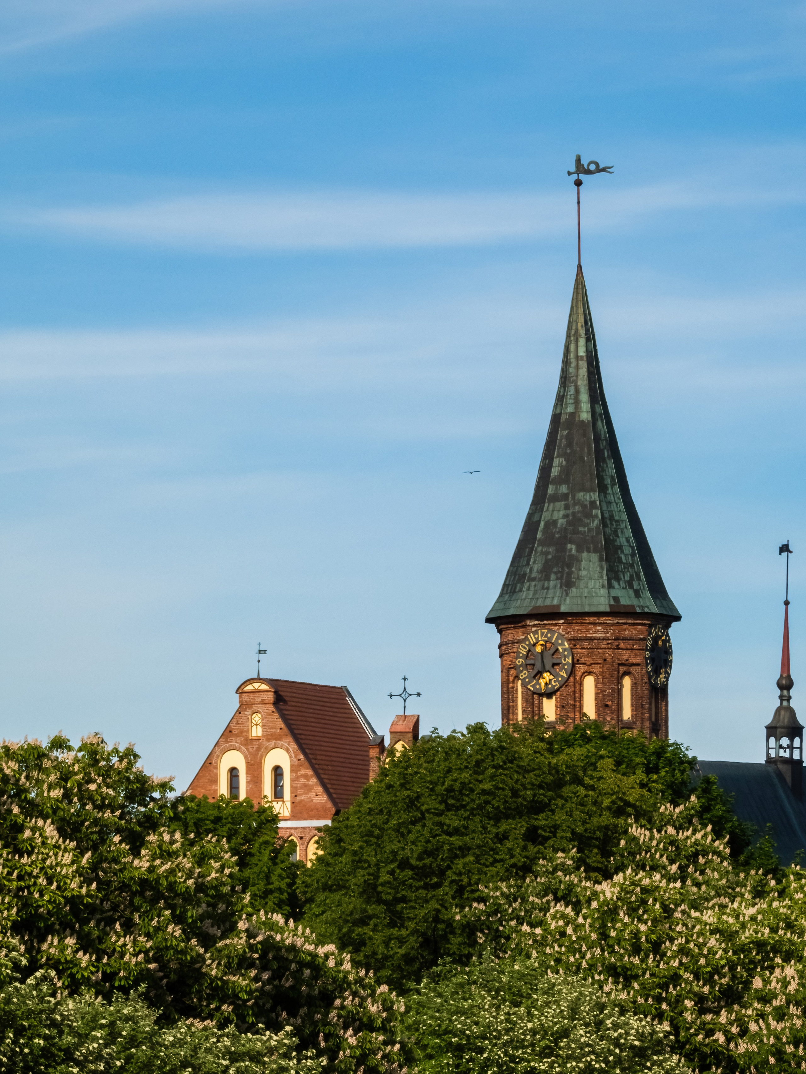 Остров Канта и Рыбная деревня. AI-контент (генерации ИИ-фото и видео), стоковые фотографии Калининградской области