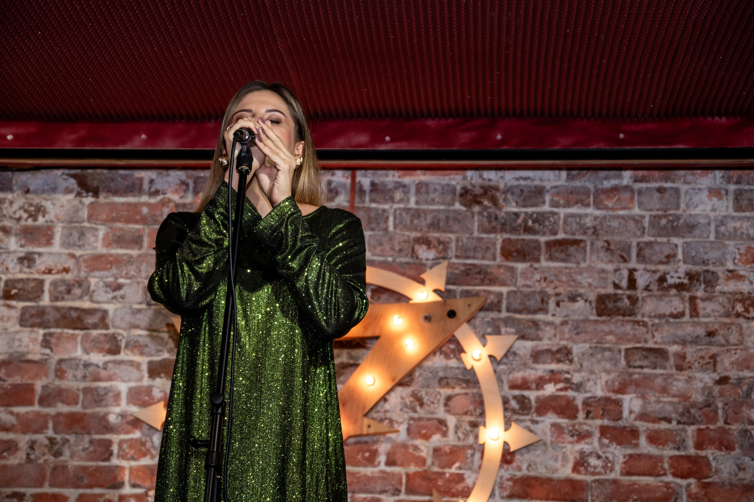 ДРУГОЙ ZOMBIE-БАР. Отчётный концерт. Фотограф в Самаре Алексей Головачёв