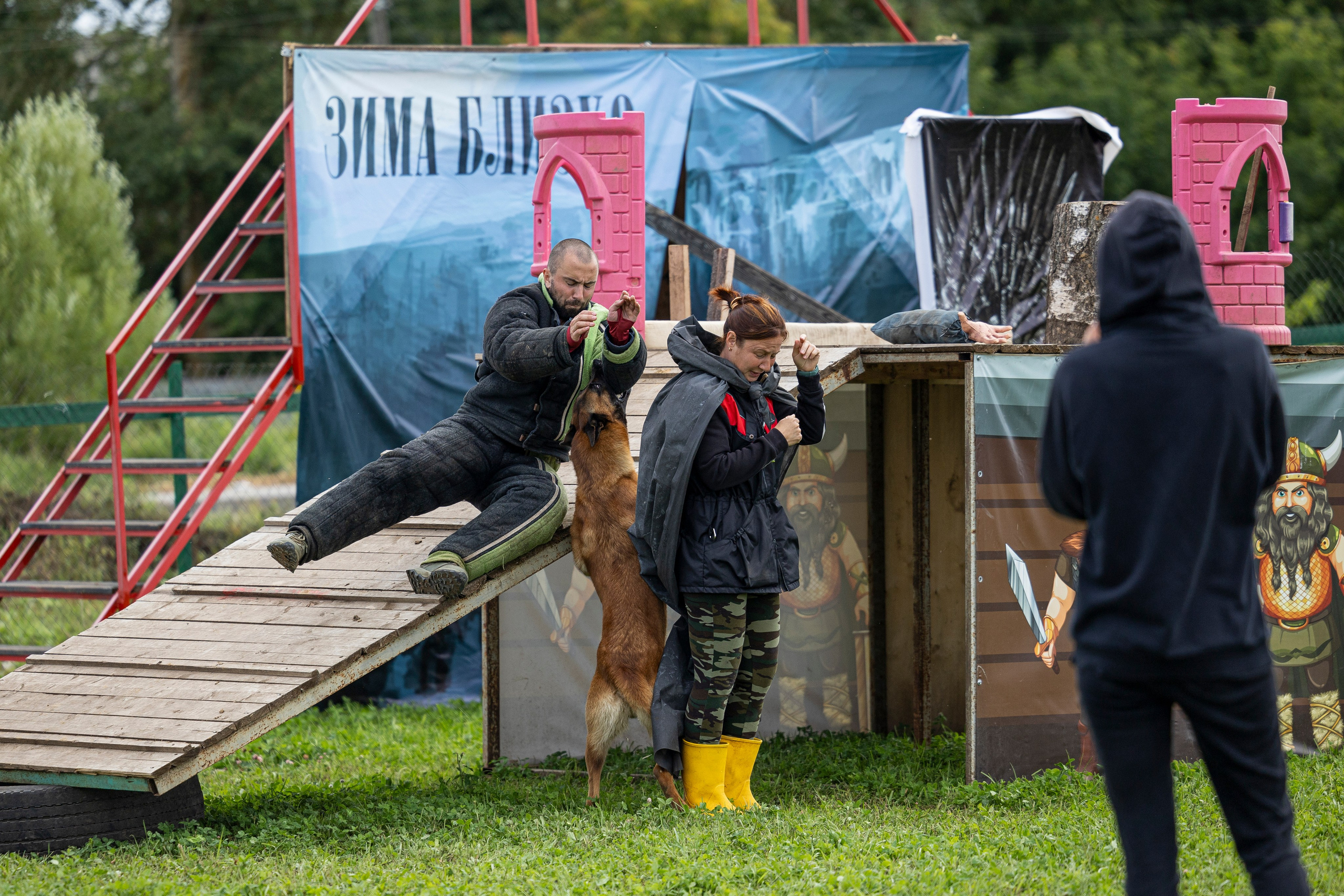 Соревнования по Мондьорингу г. Вологда 10-11.08.2024. Фотограф-анималист Анна Маринич