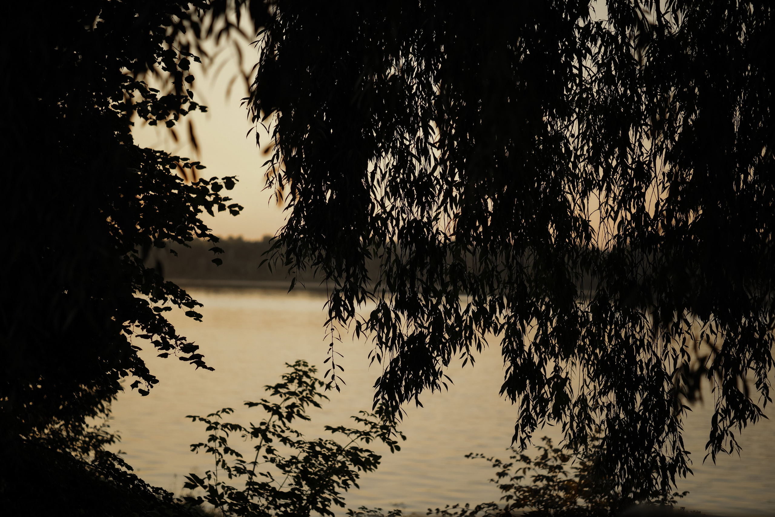 Щелкунчик под открытым небом 🤌🏻