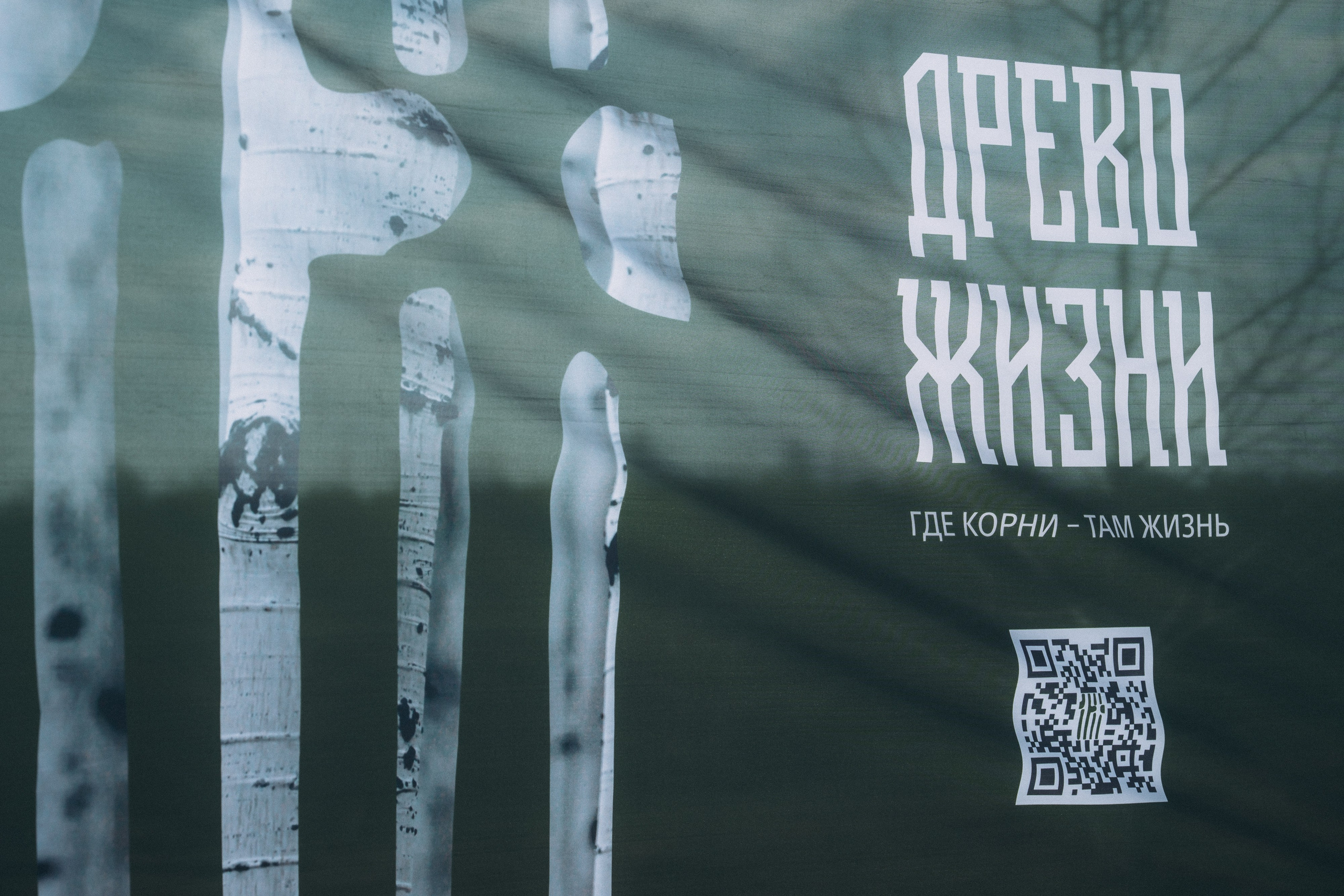 Репортажная фотосъемка о посадке саженцев. Свадебный и репортажный фотограф в Воронеже Роман Янко