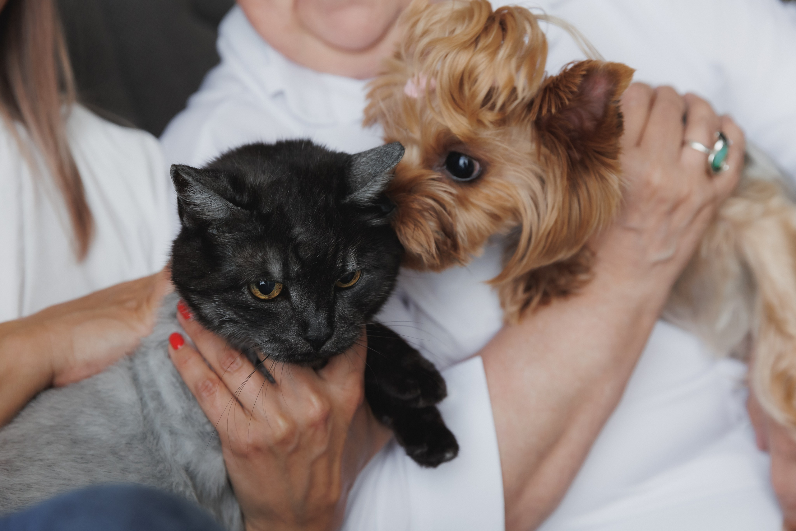 Девочки. Фотограф в Волгограде — Александра Искандерова