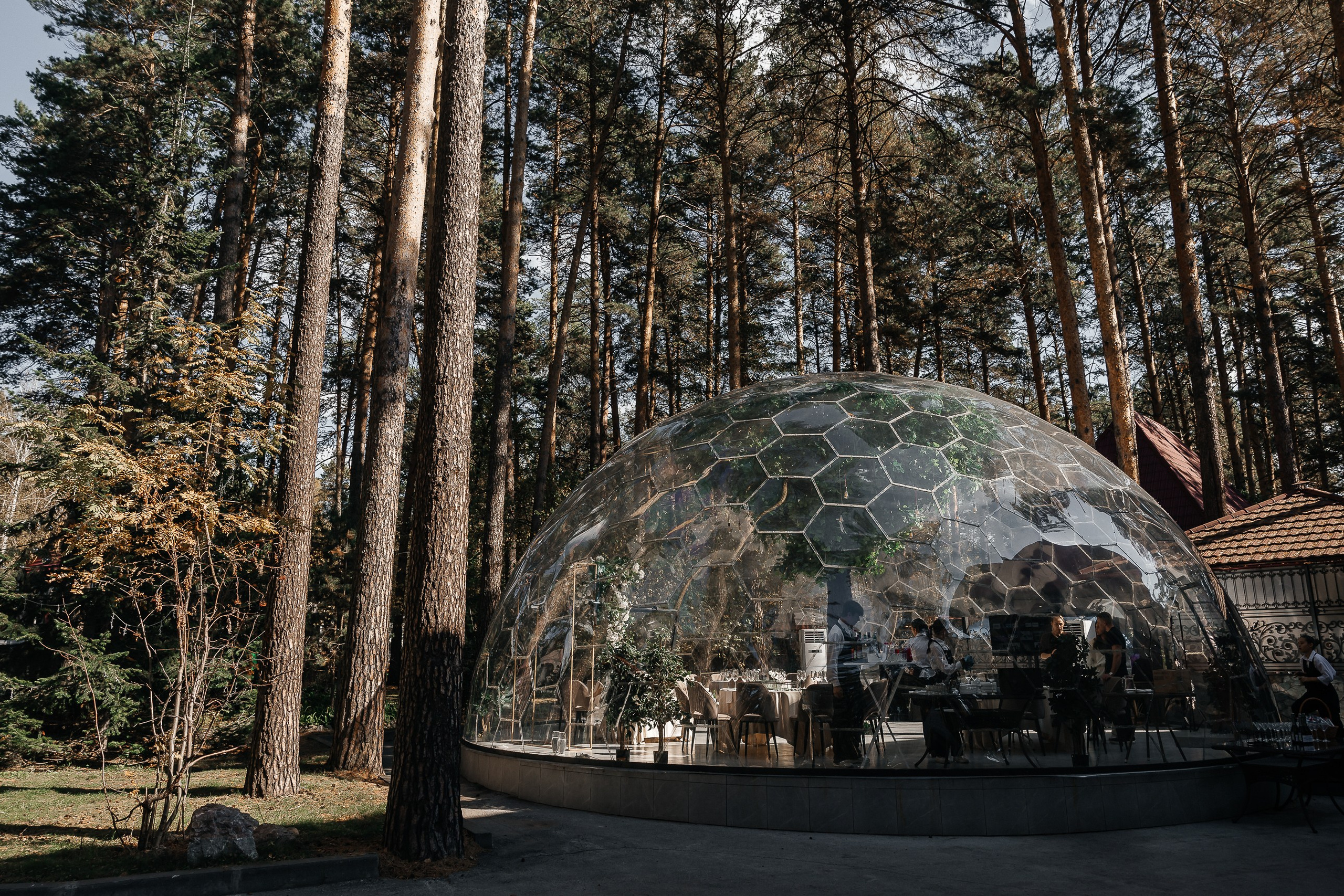 свадьба в хвое новосибирск