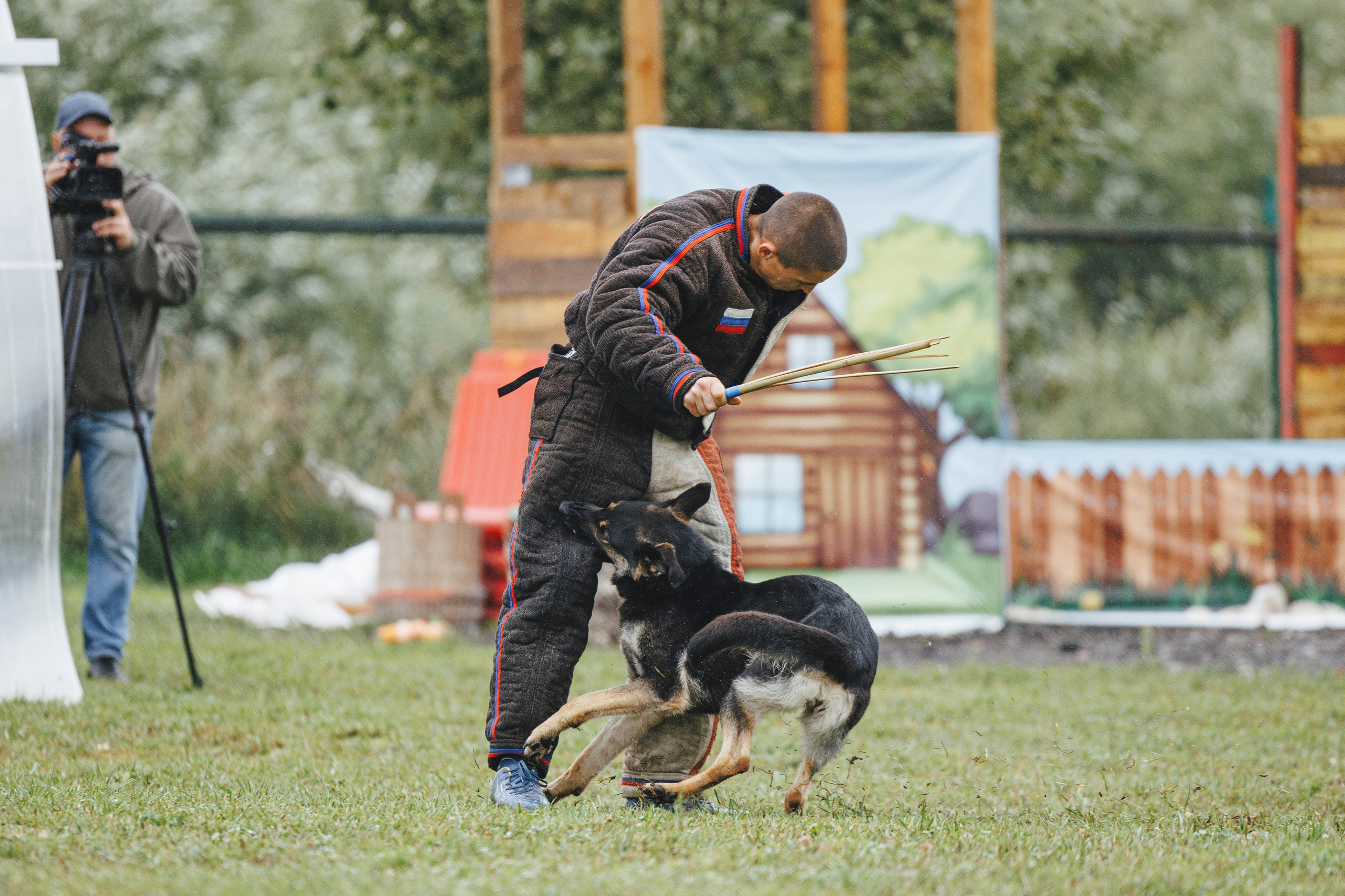 08.08.25-10.08.25 ЧР по мондьорингу г. Вологда. Фотограф-анималист Анна Маринич