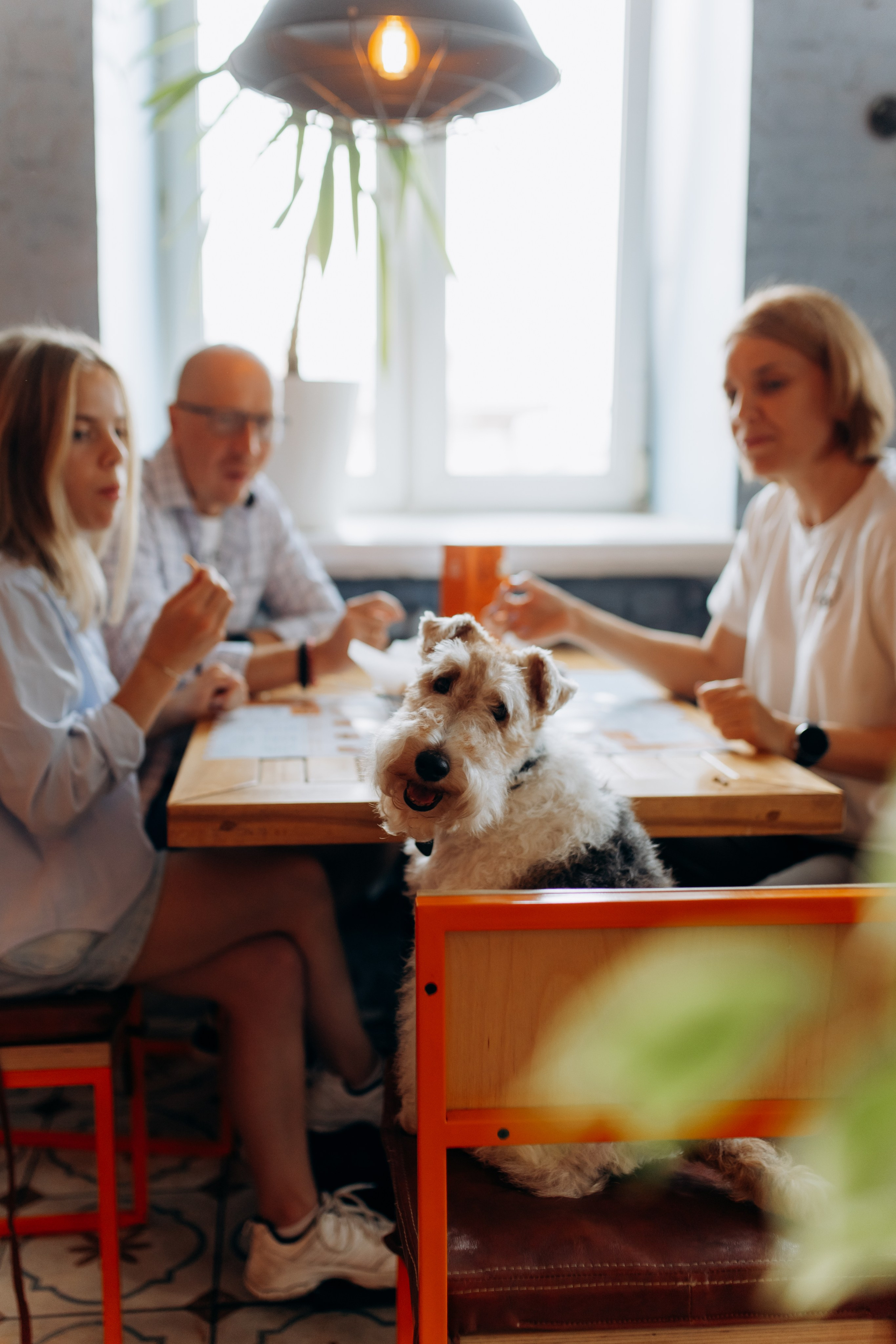 По бургеру в «Карл Маркс». Свадебный и семейный фотограф в Туле и области Маша Костина