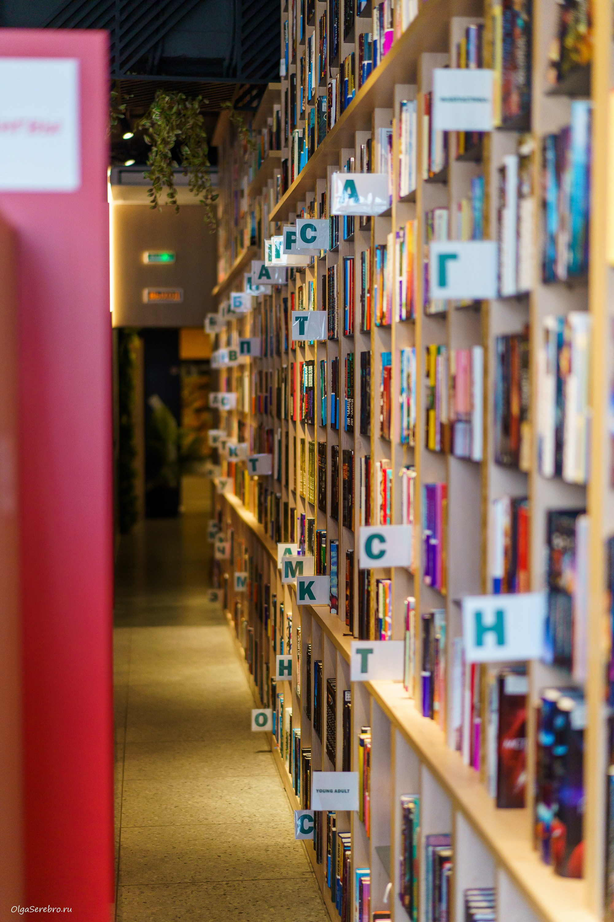 Встреча «Экологичный образ жизни». Фотограф Челябинск · Ольга Серебрякова