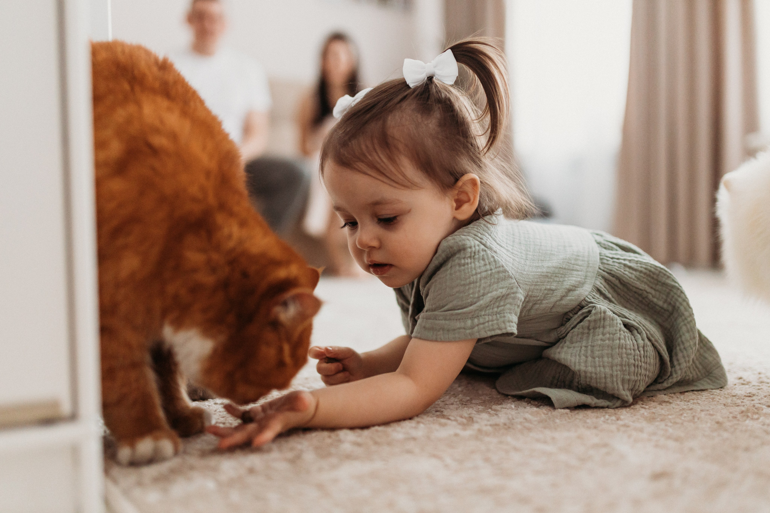 Домашняя фотосессия День Рождения Василисы. Фотограф Тверь. Свадебные, семейные, индивидуальные фотосессии
