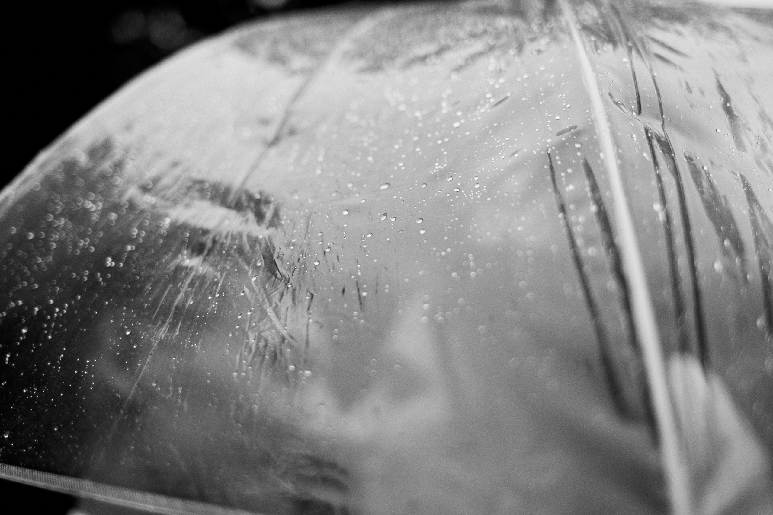 Изысканная классика. Свадебный и семейный фотограф в Ярославле и Рыбинске Вячеслав Барышков