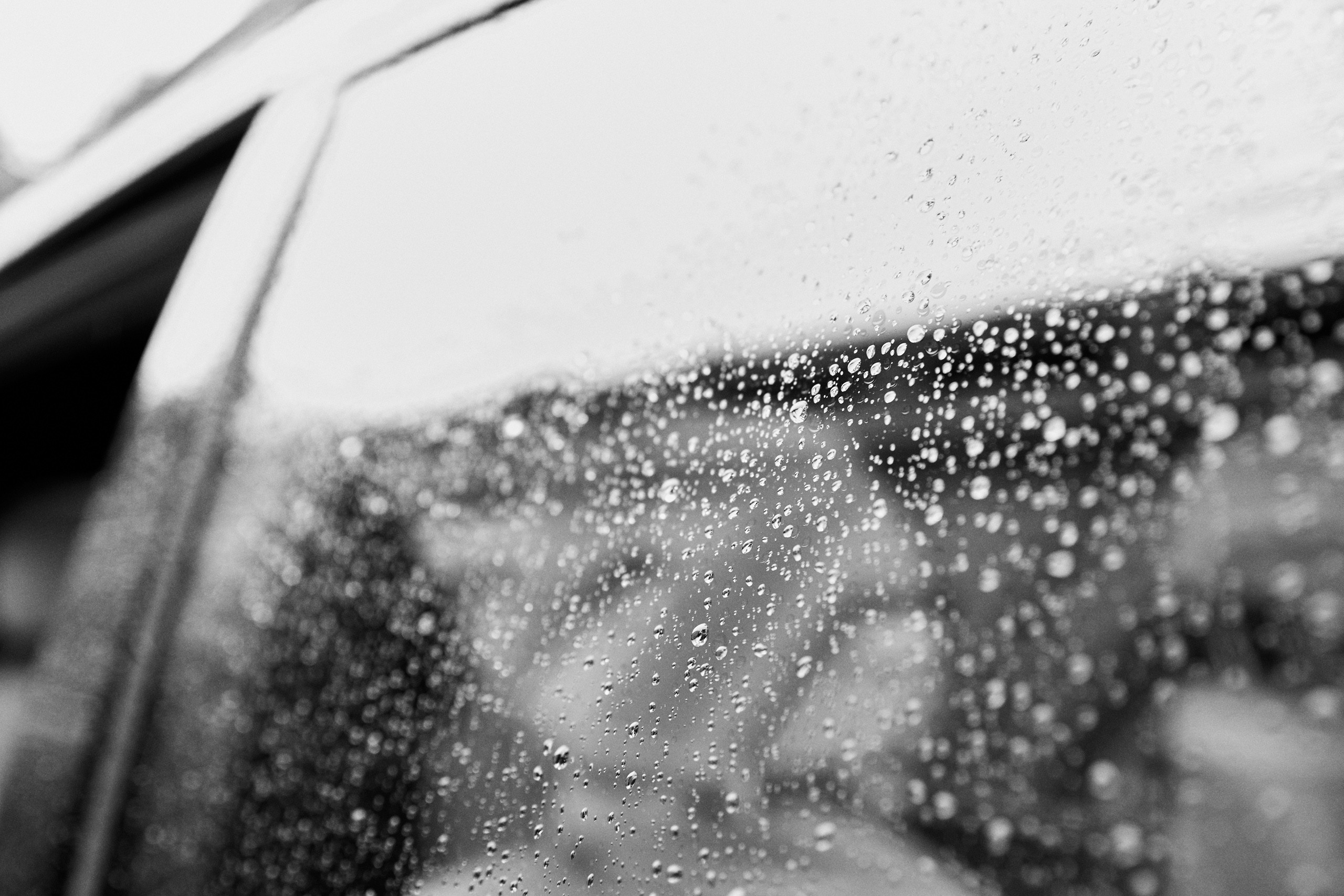 Изысканная классика. Свадебный и семейный фотограф в Ярославле и Рыбинске Вячеслав Барышков