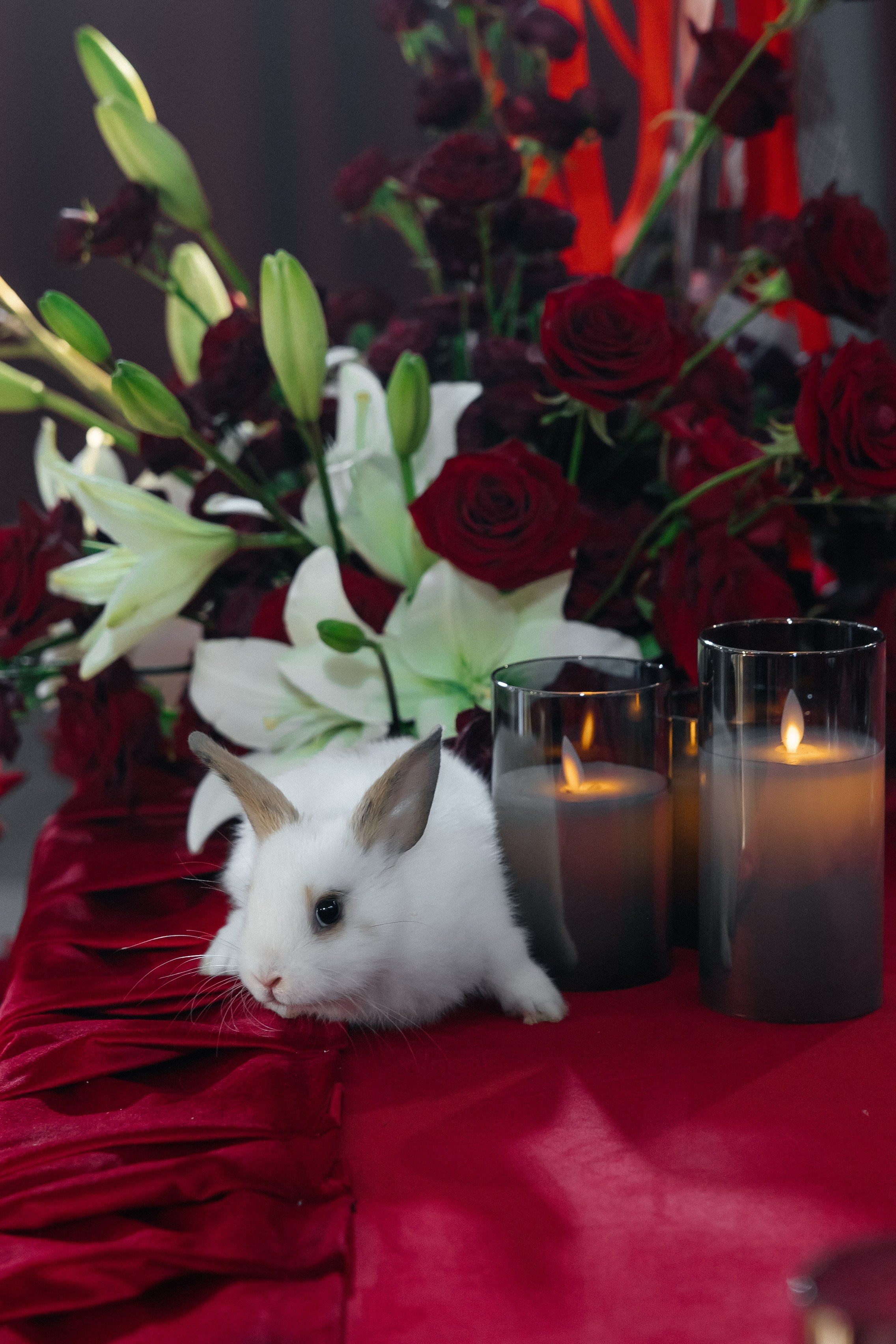 Сергей & Анна. Свадебный и семейный фотограф в Краснодар, Россия