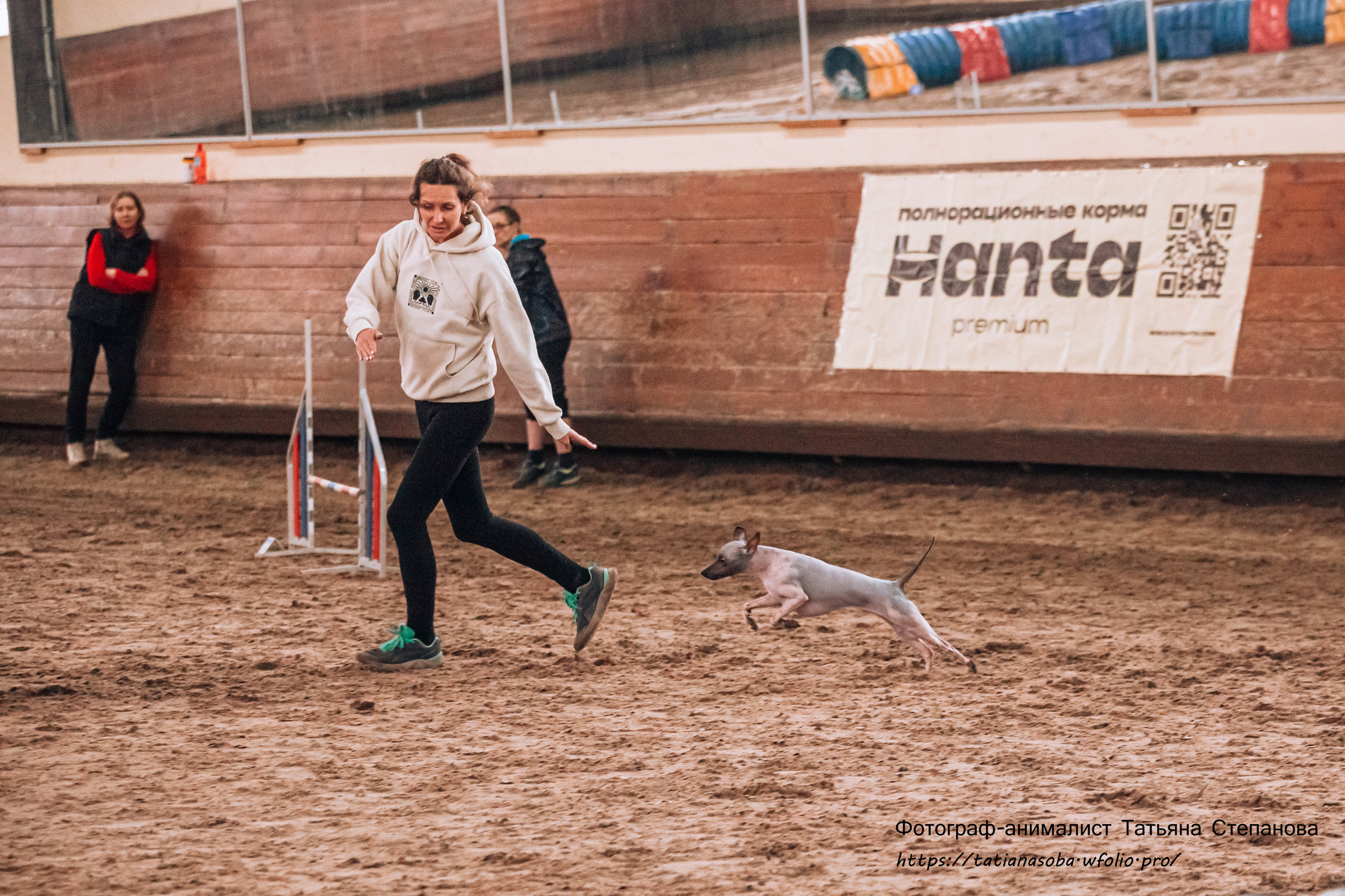 Соревнования по Аджилити 25.02.2024. Фотограф-анималист Татьяна Степанова