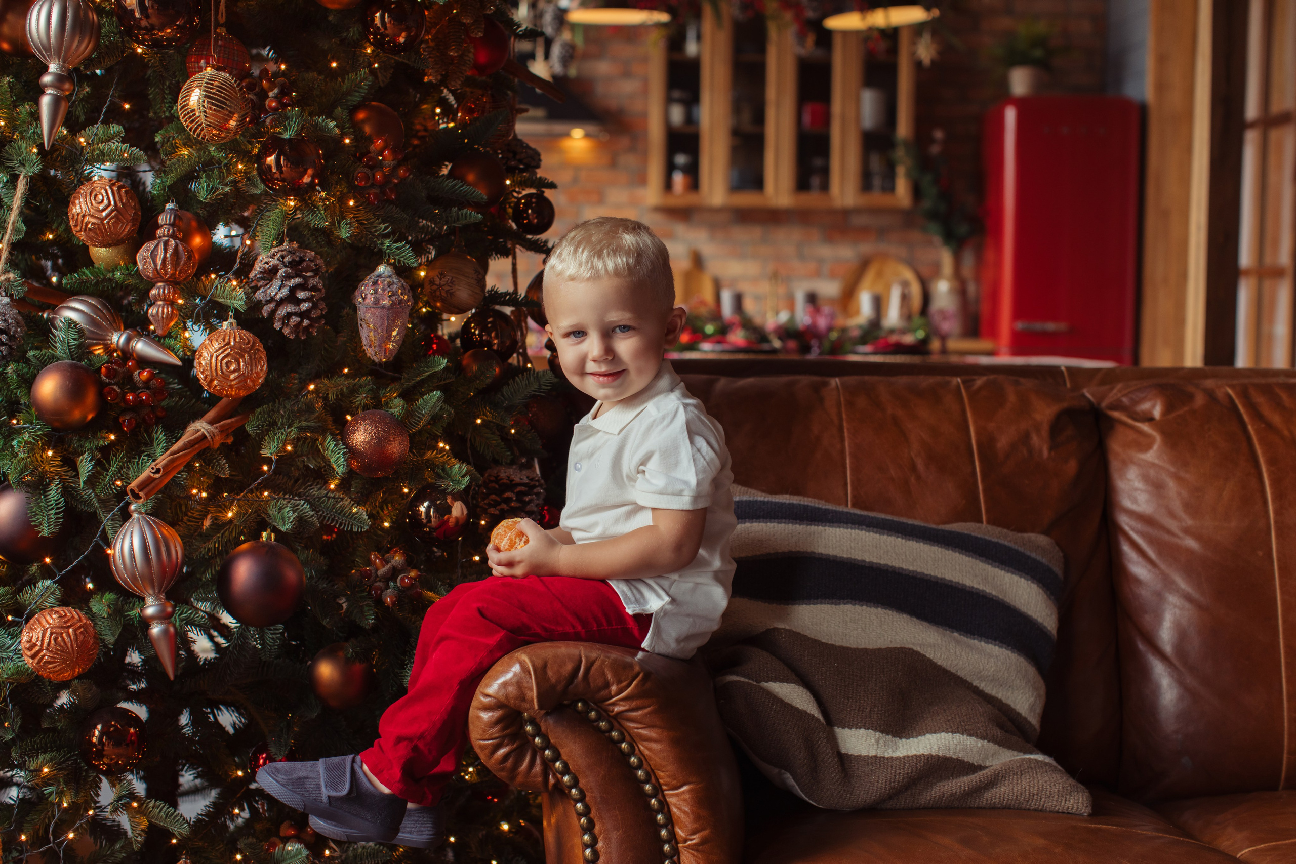 Новогодние фотосессии. Семейный фотограф Екатерина Шустрова Москва и Одинцово