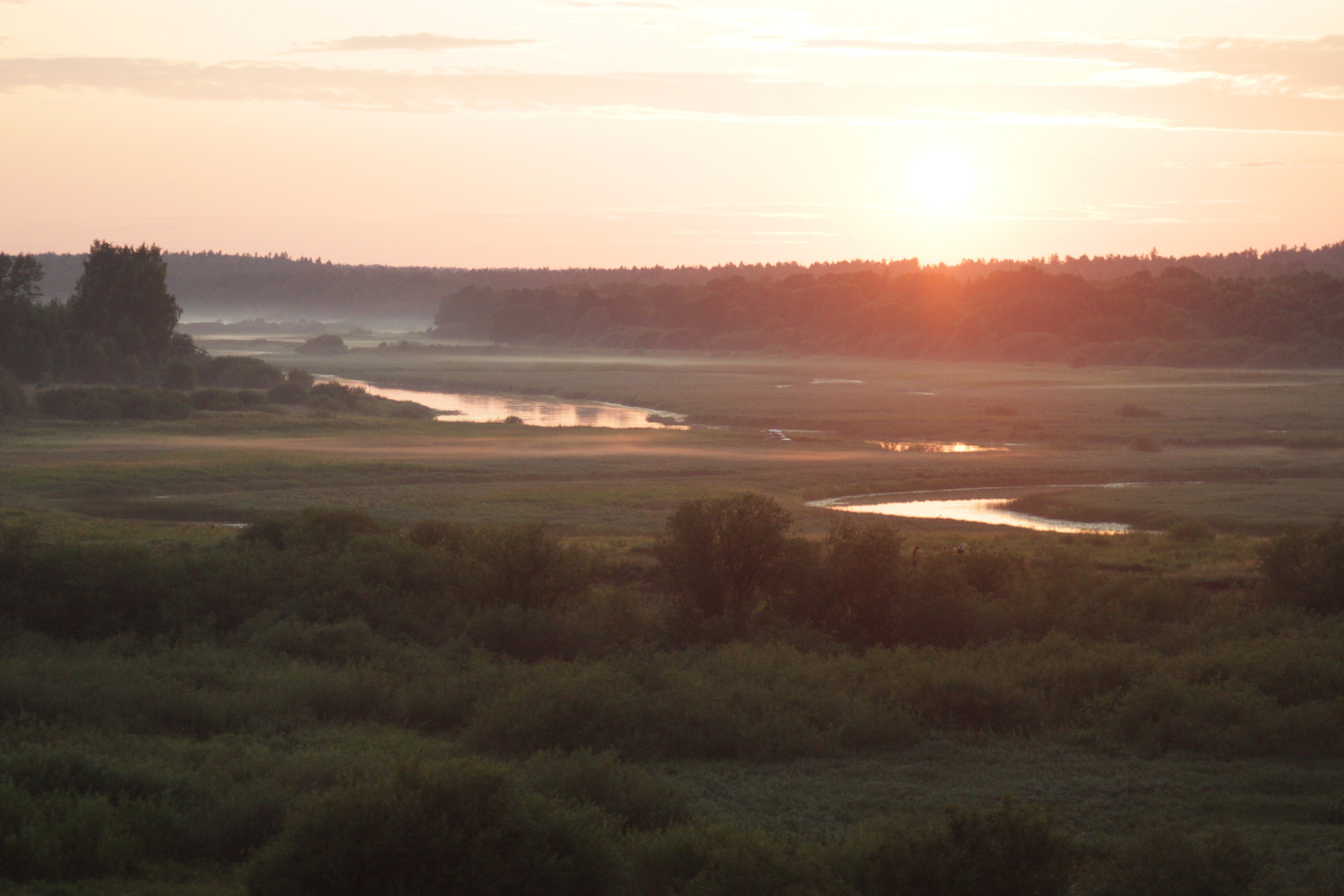 Пейзаж вид из окна поезда