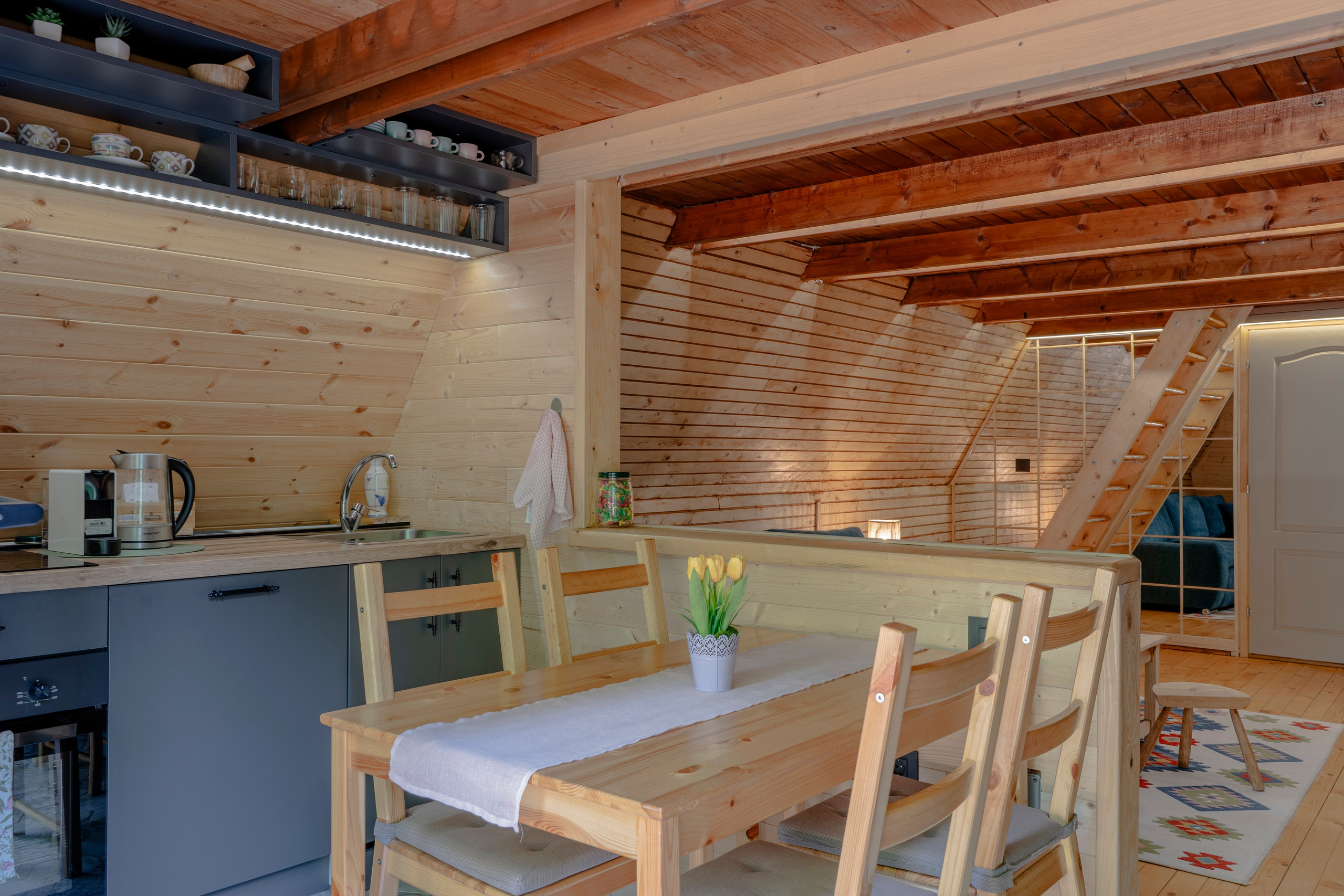 Viktorija Chalet. Photographer Liana Sudets Serbia Kopaonik Brzece Brus