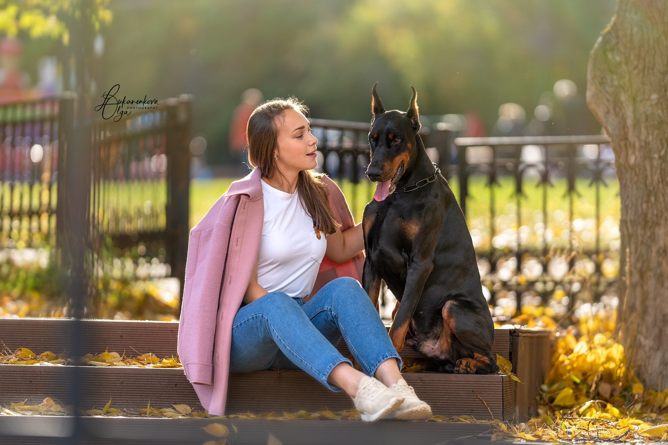 Осенняя рапсодия. Фотограф анималист Ольга Луканенкова в Москве