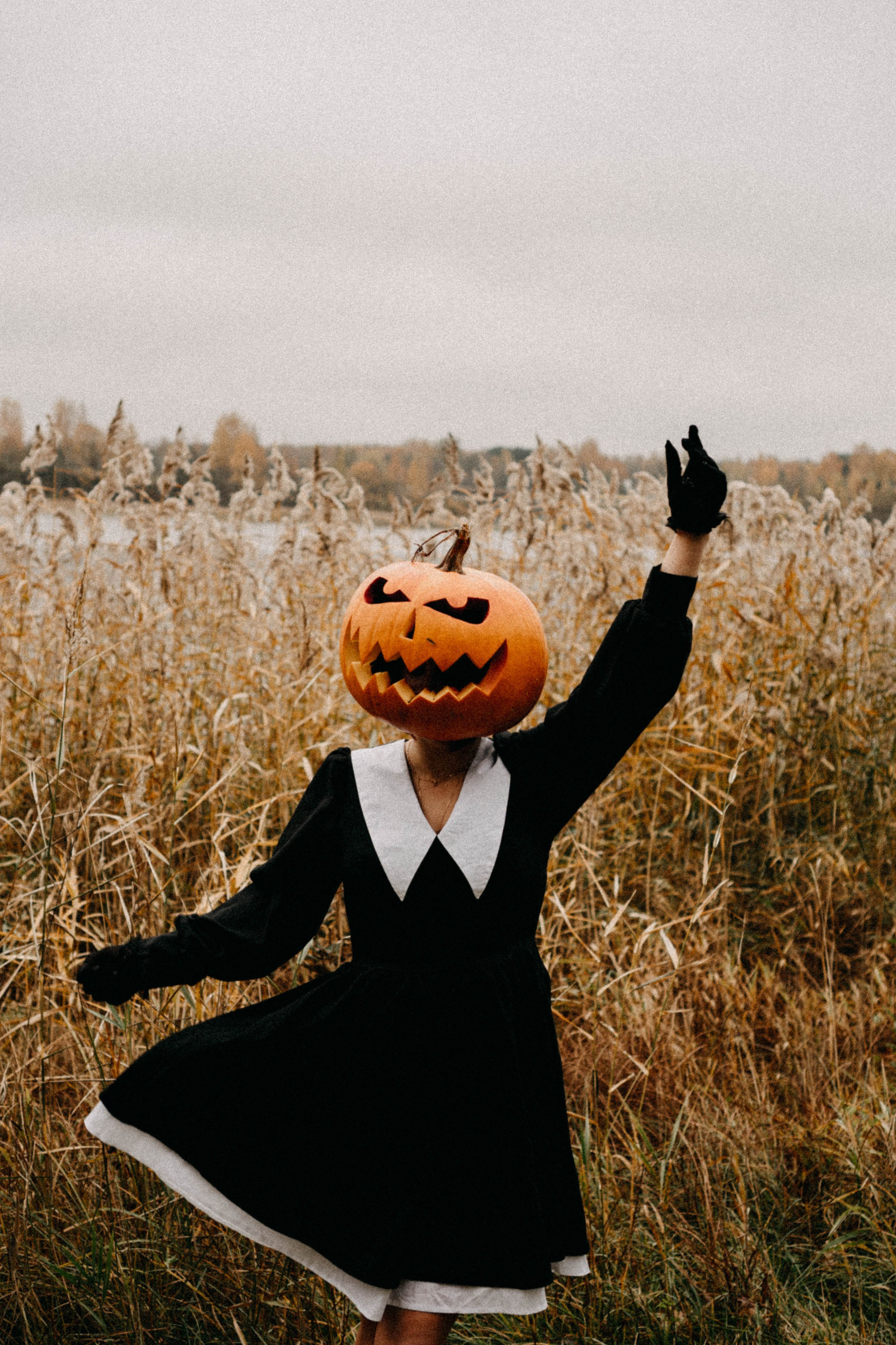 Осеняя. Профессиональный фотограф, Санкт-Петербург — Виктория Богомолова