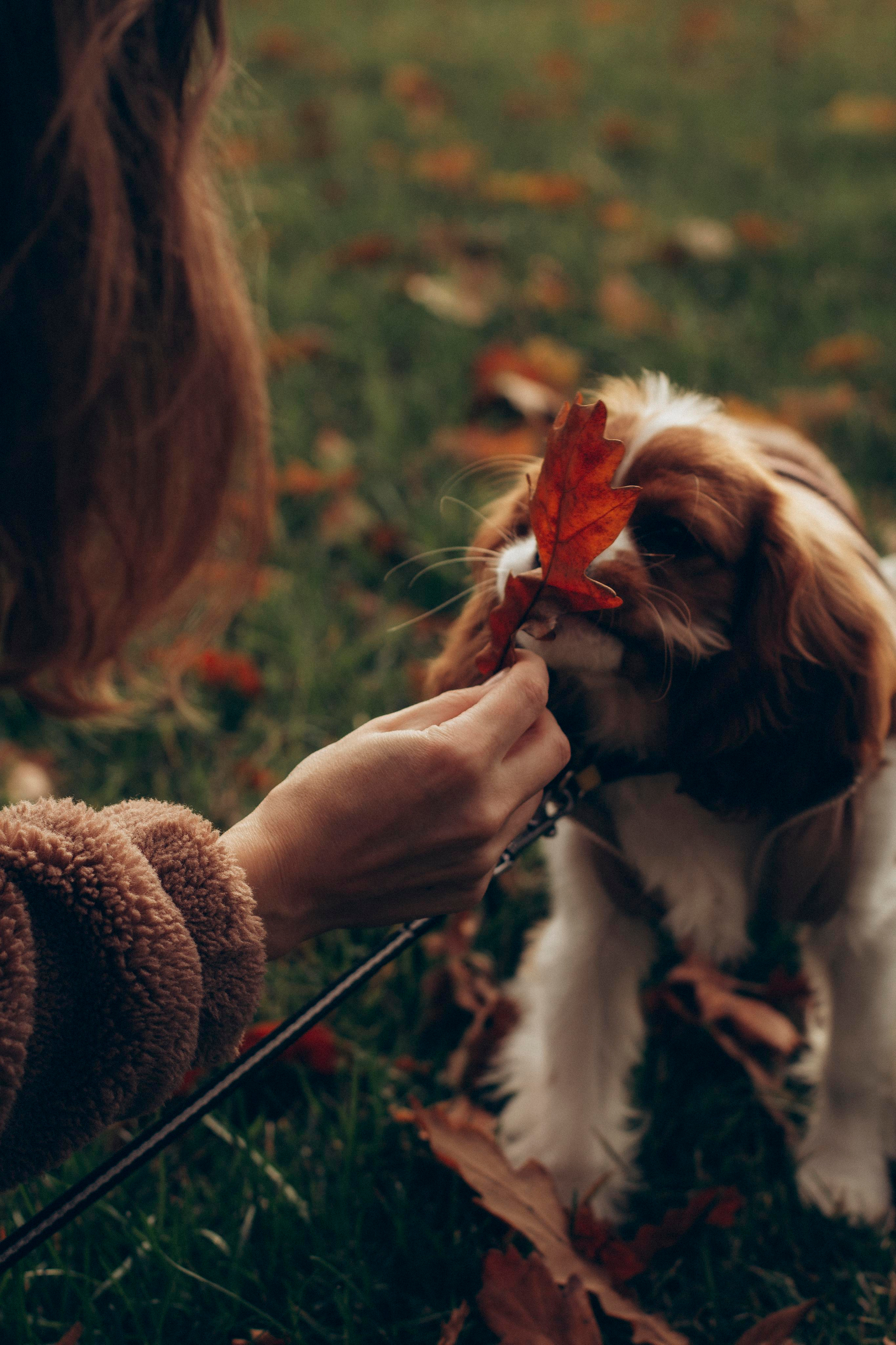 Лена и Мия. Ваш фотограф АНАстасия Земскова