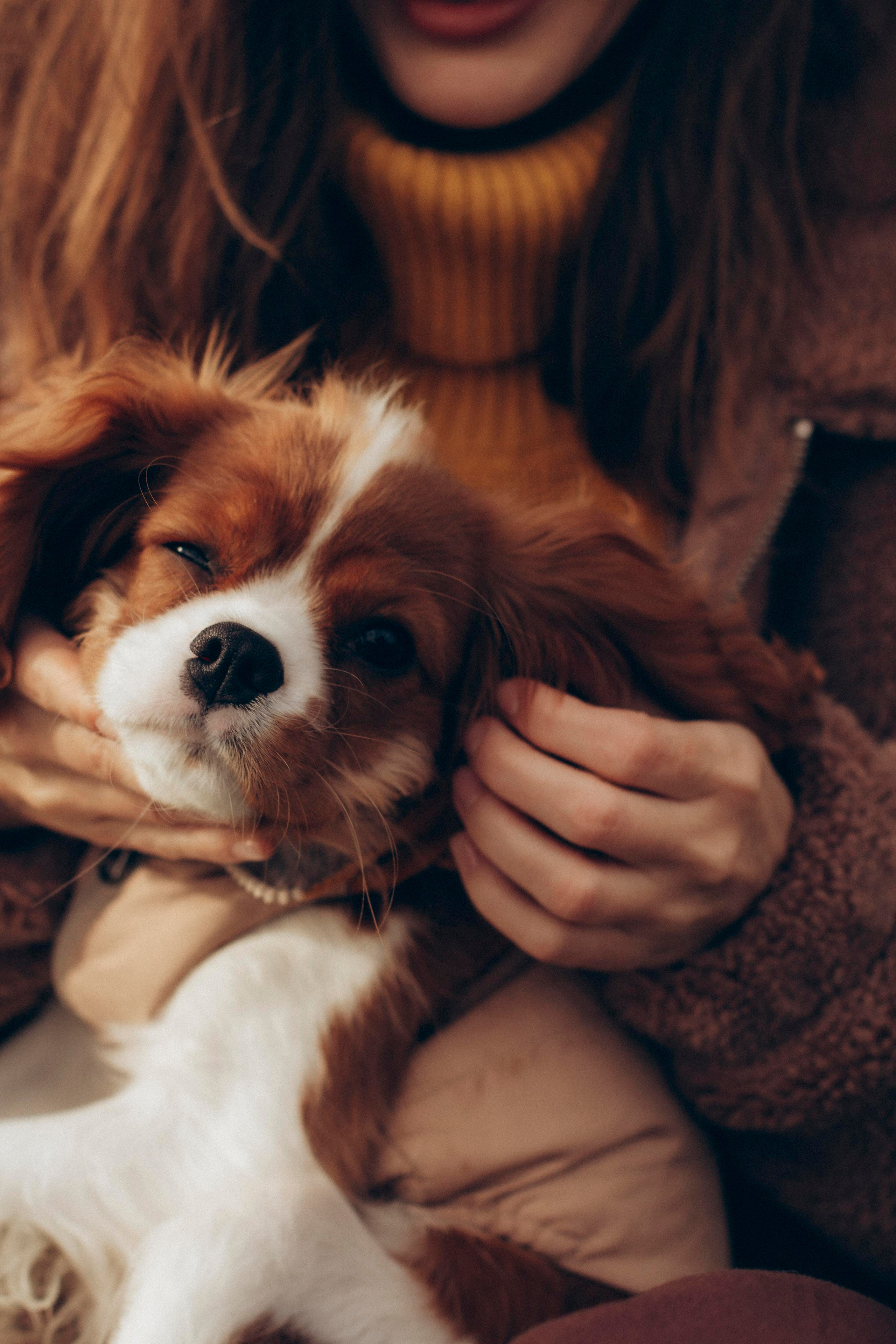Лена и Мия. Ваш фотограф АНАстасия Земскова