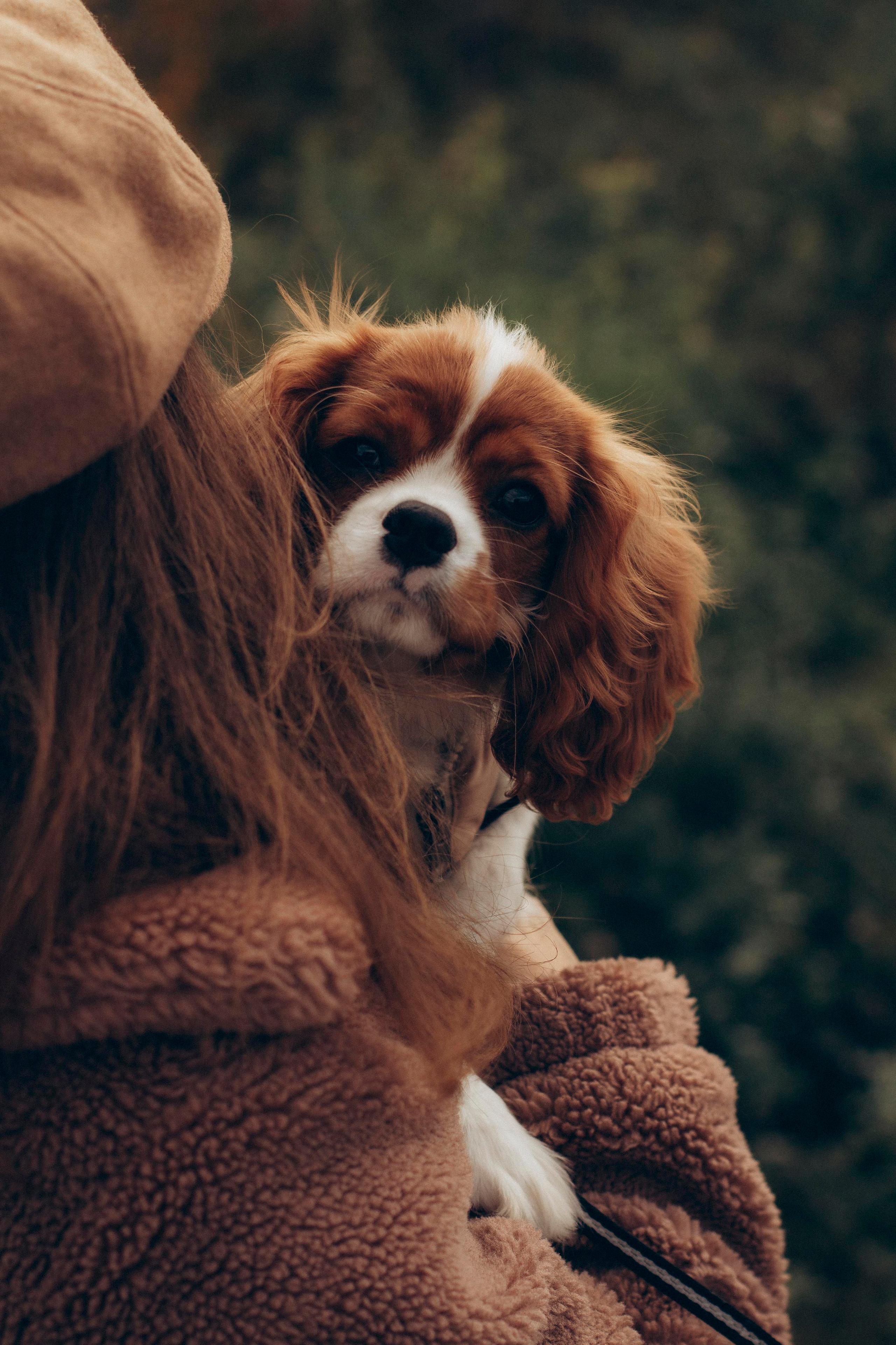 Лена и Мия. Ваш фотограф АНАстасия Земскова