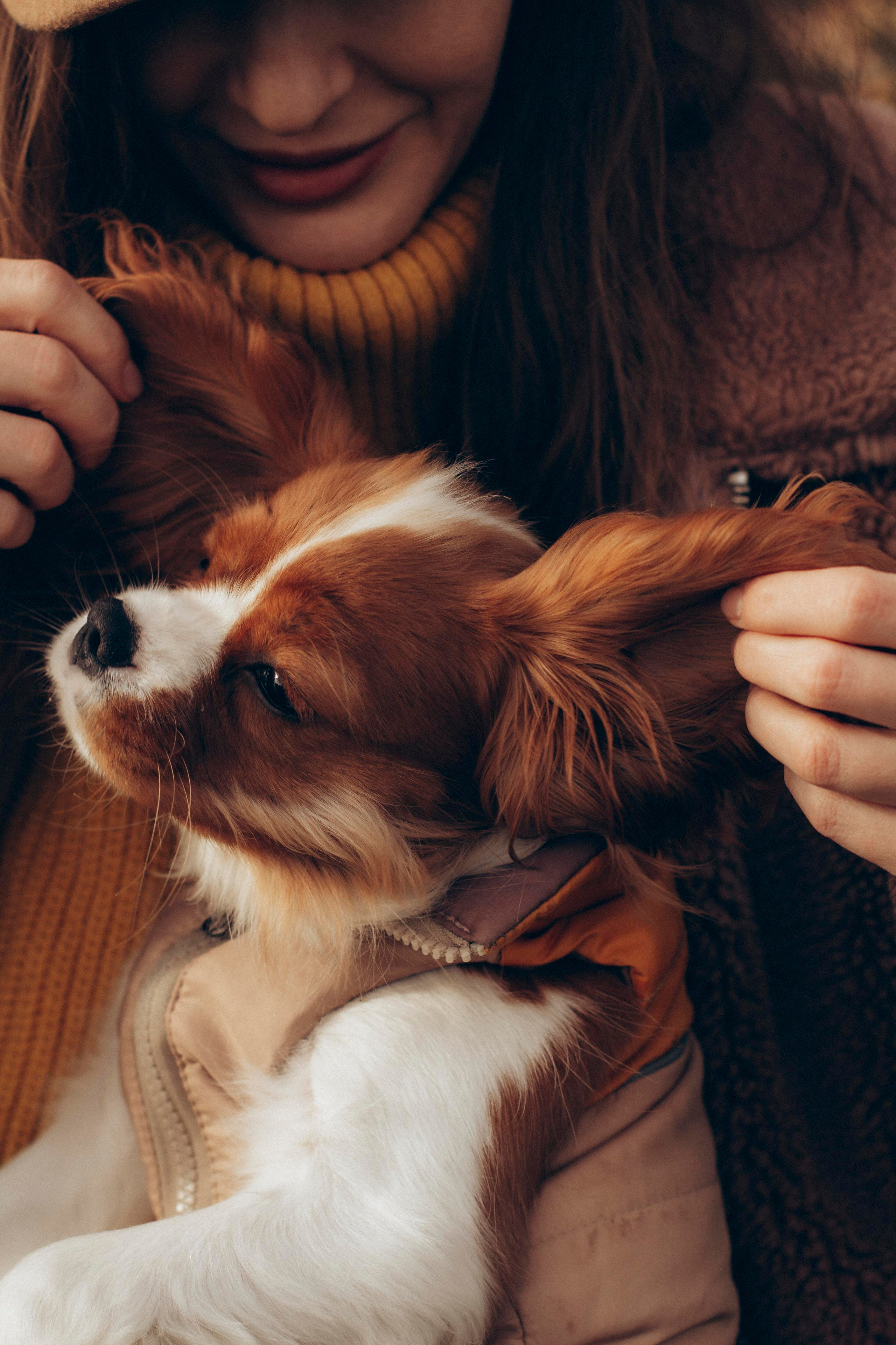 Лена и Мия. Ваш фотограф АНАстасия Земскова
