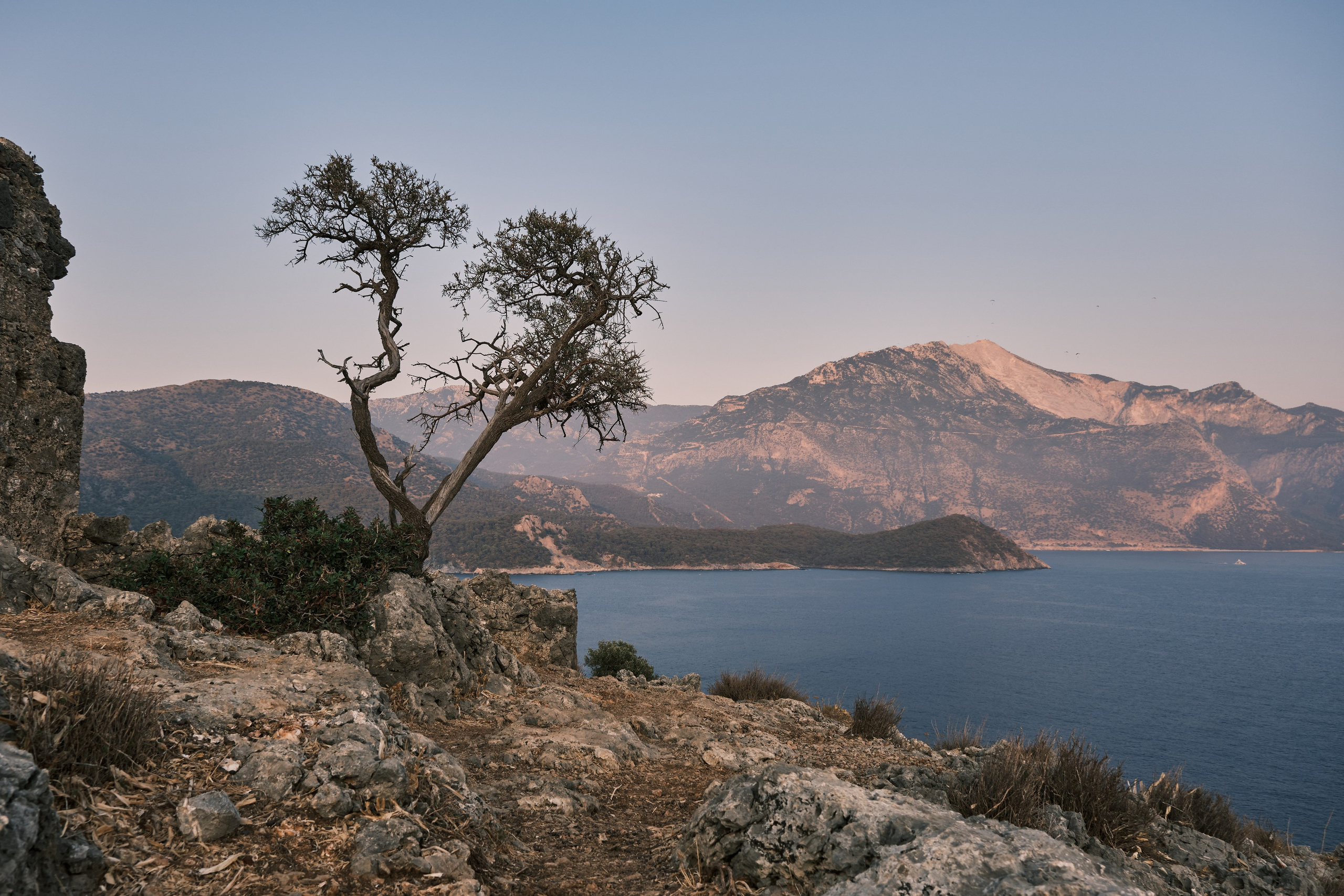 Zaoksky.Photo Санкт-Петербург