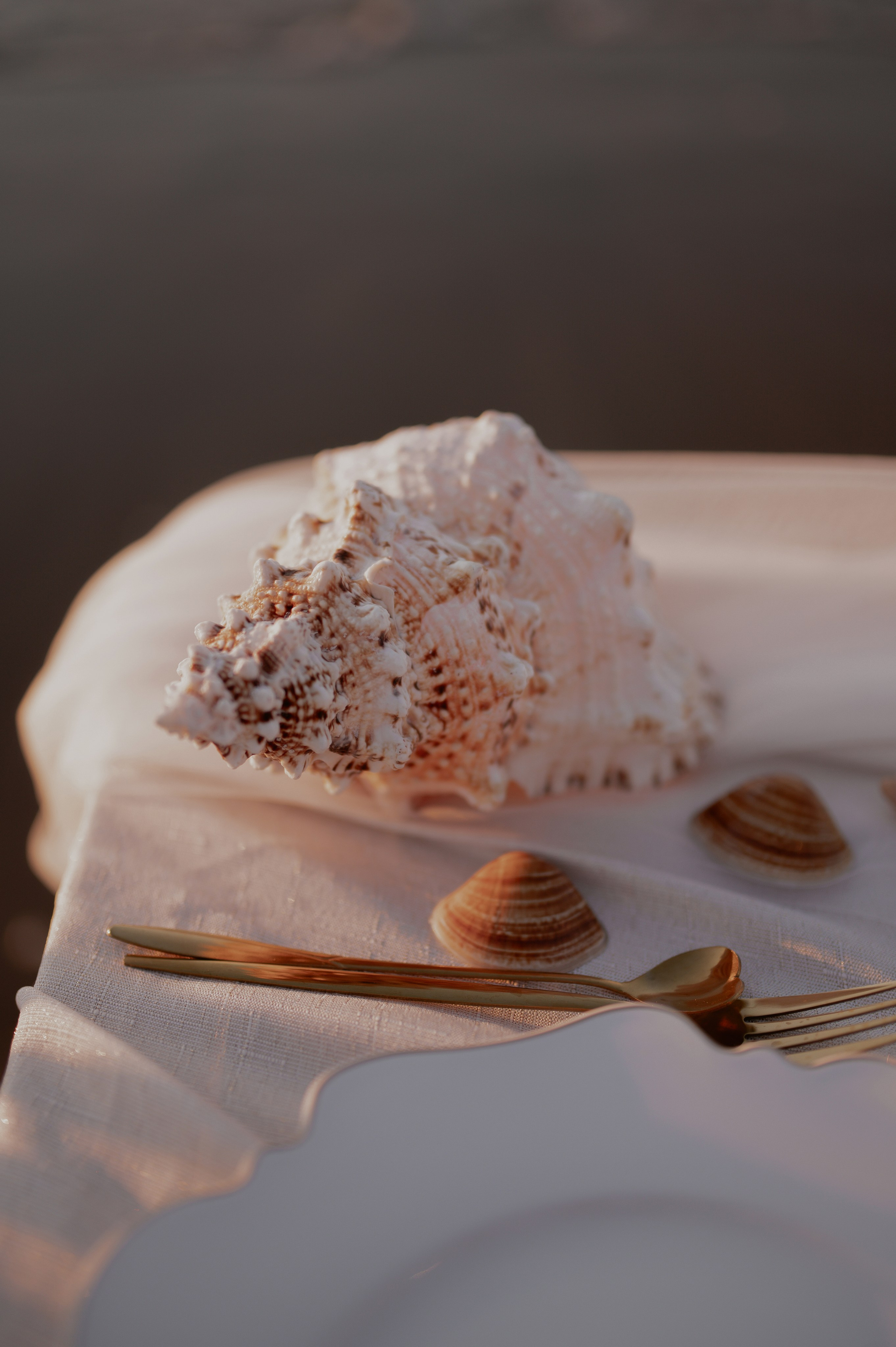 Анна. Floraphotes