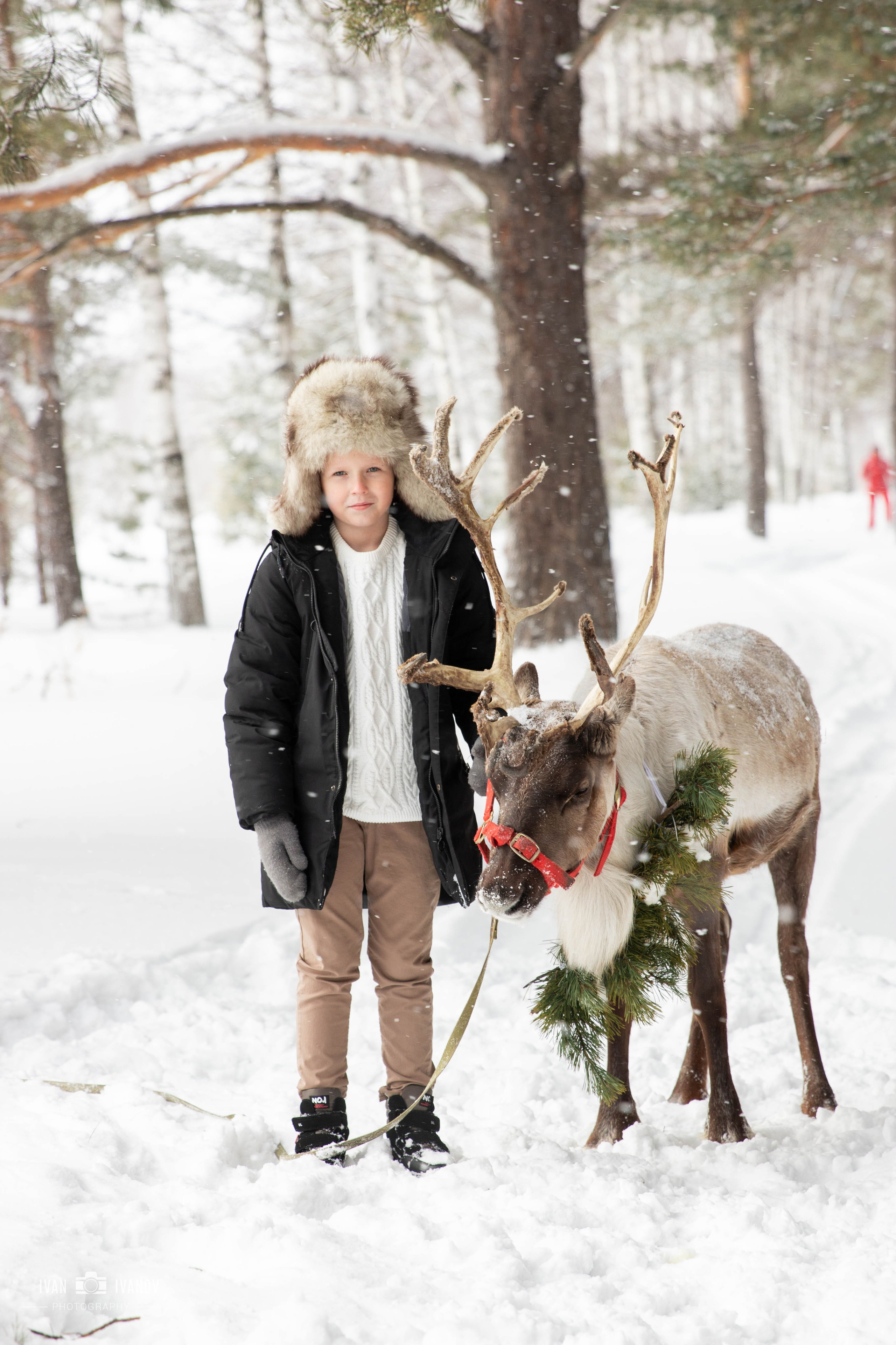 Воркшоп с северным оленем. Свадебный и семейный фотограф в Новокузнецке Иван Иванов
