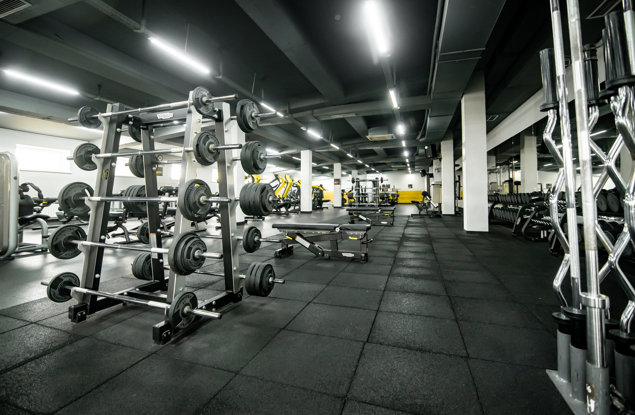 Alex Fitnes. Главная