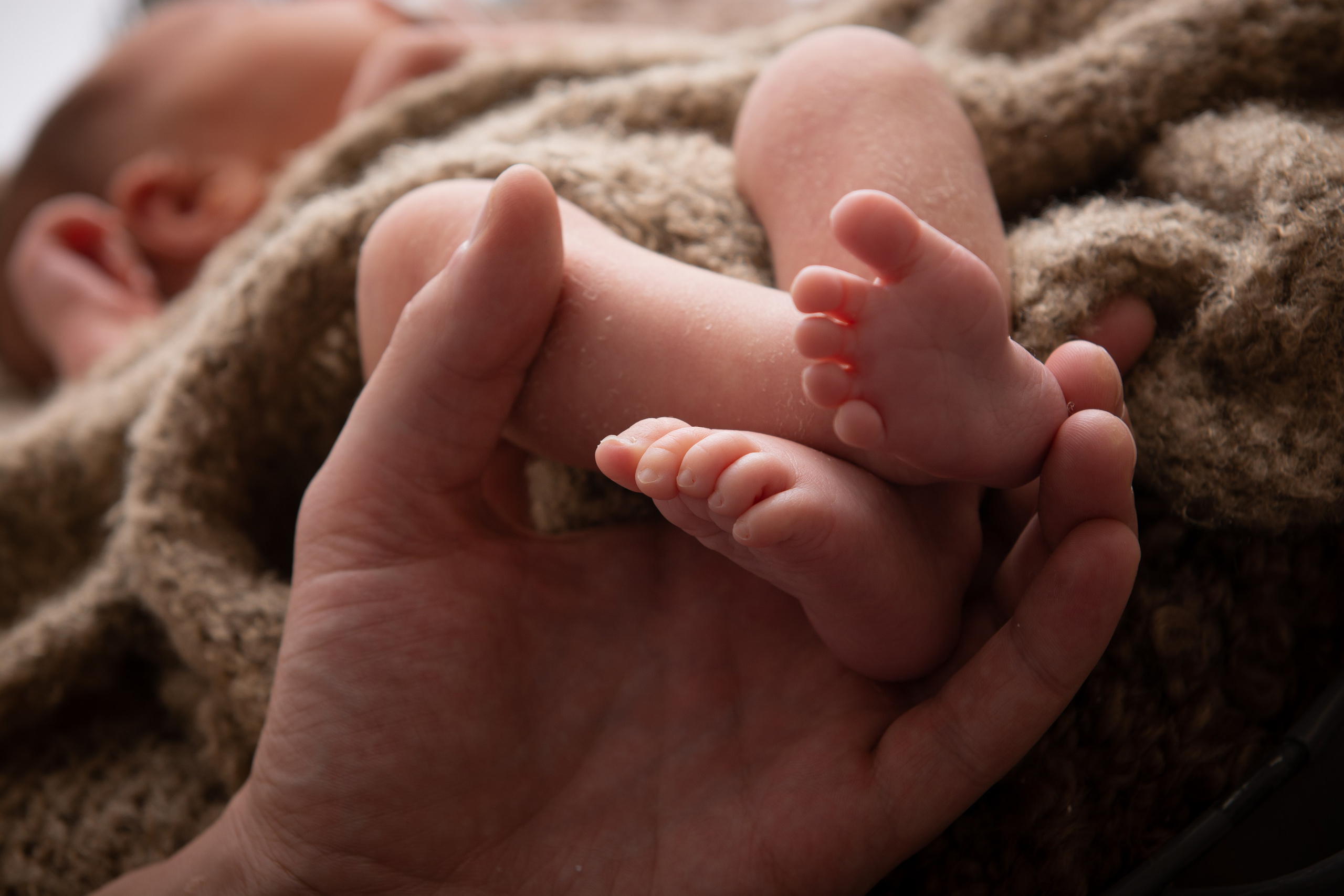 2023-09-21-Елизавета. Фотосессия беременности — Крылова Натали — Москва