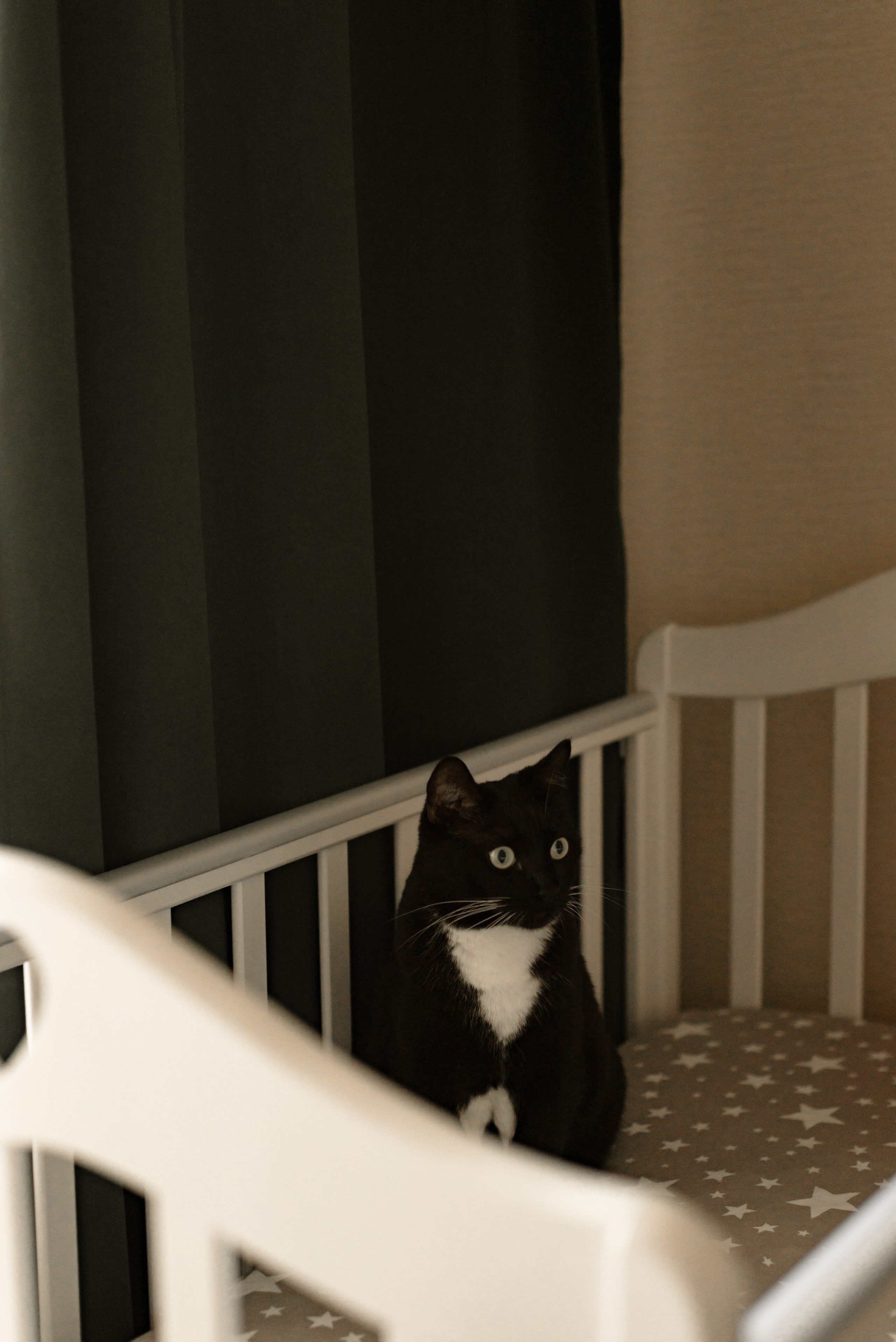 Дома хорошо. Фотограф в Омске Мария Попова