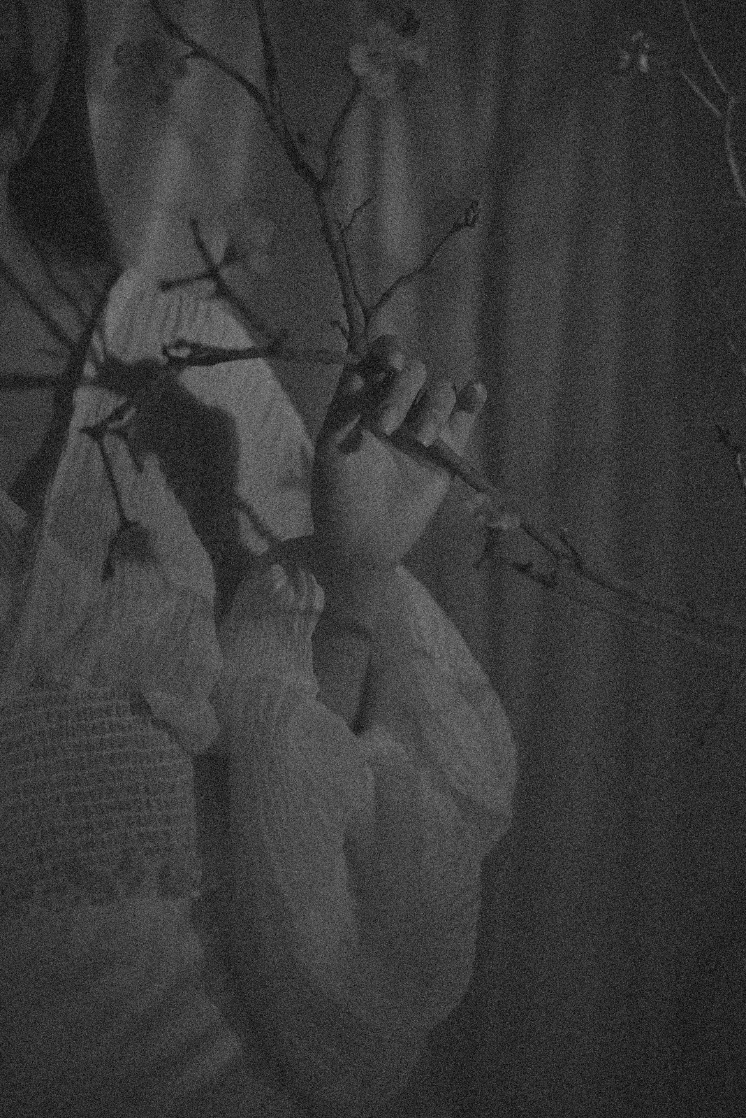 Сакура. Ваш фотограф