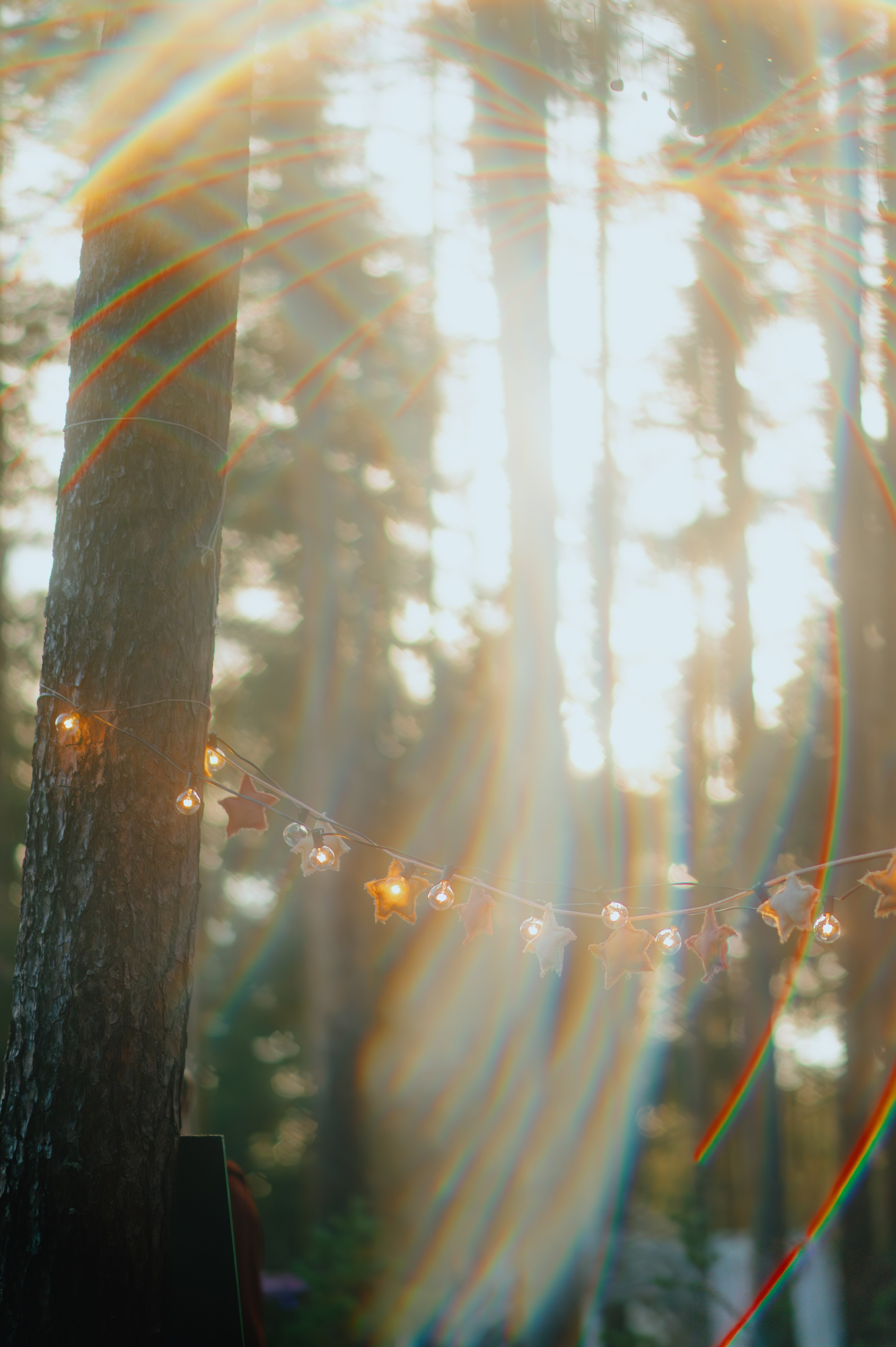 METADREAMS 2025. Контент фотограф Илья Урс