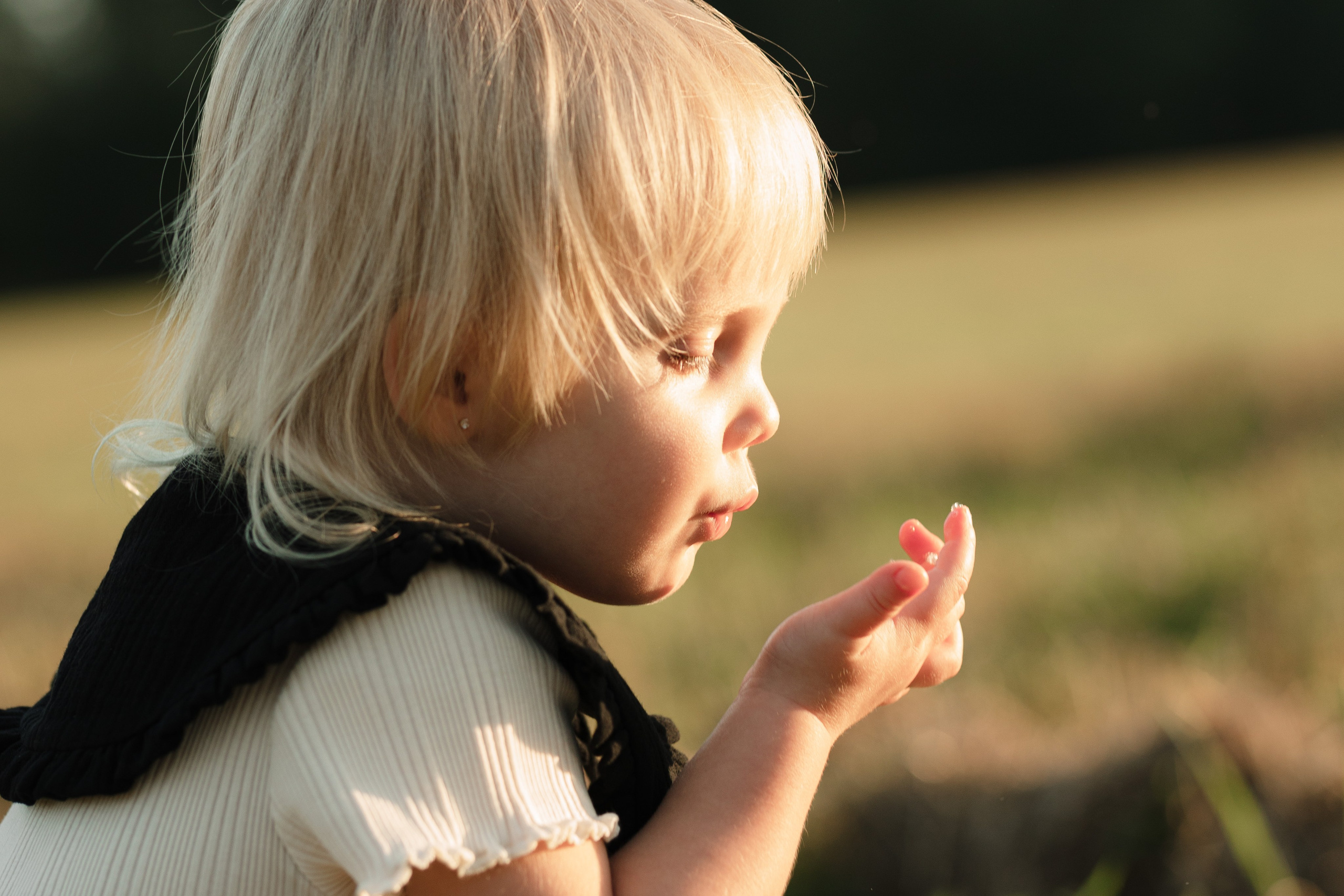 ДУБЫ. Cheta Kovalevsky фотографы