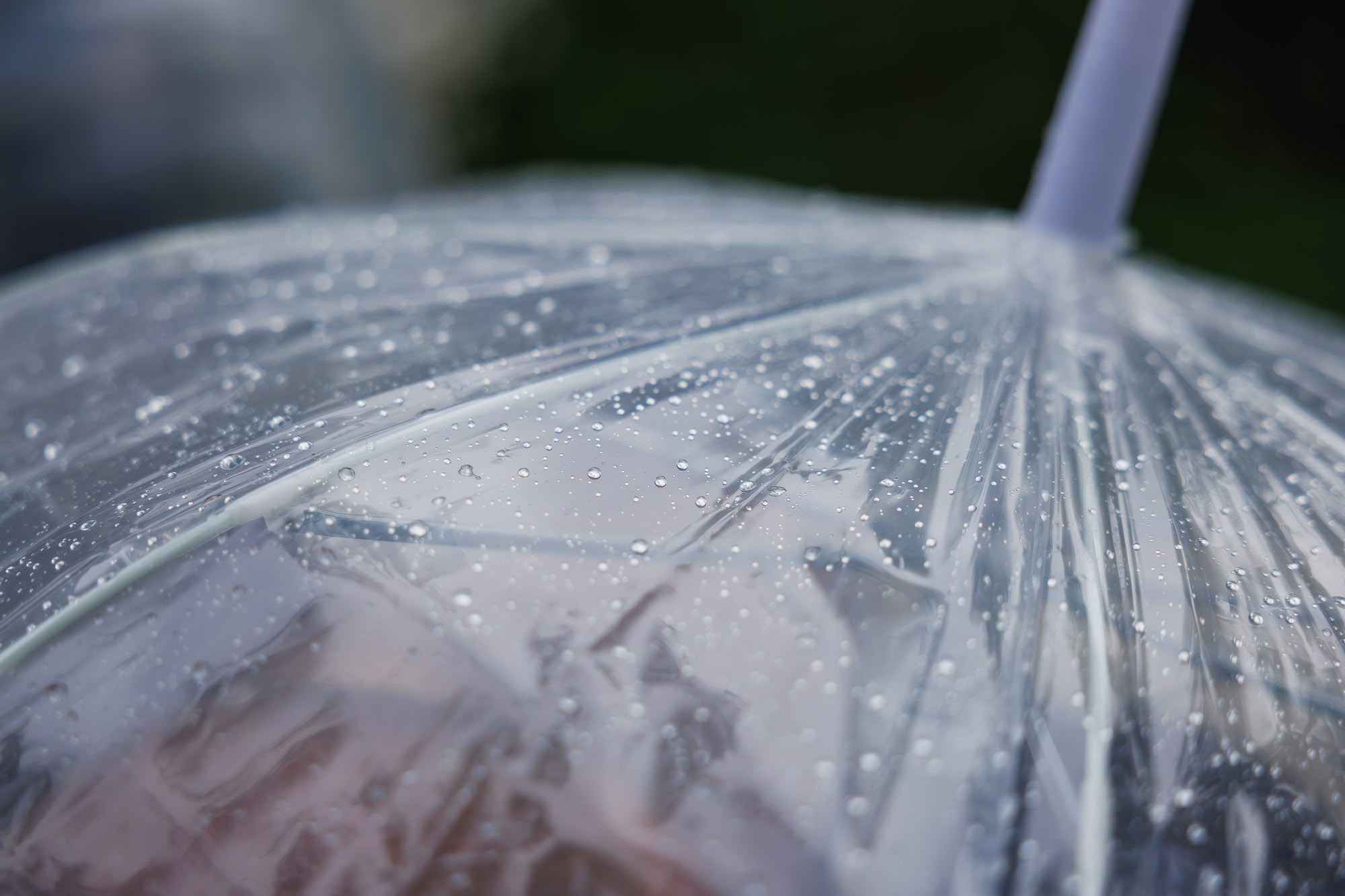 Катя и Влад. Свадебный Фотограф Никита Духник